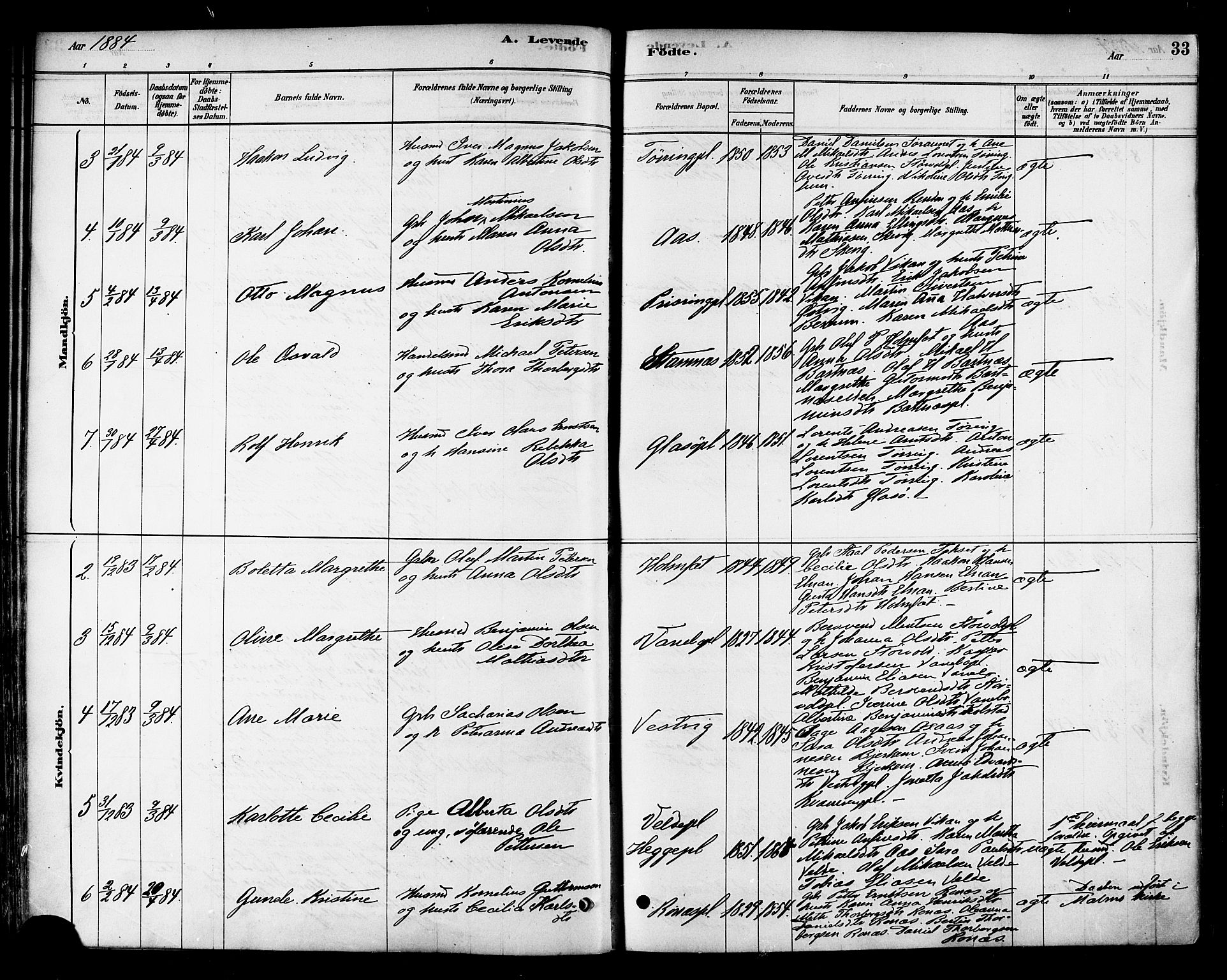 Ministerialprotokoller, klokkerbøker og fødselsregistre - Nord-Trøndelag, SAT/A-1458/741/L0395: Ministerialbok nr. 741A09, 1878-1888, s. 33