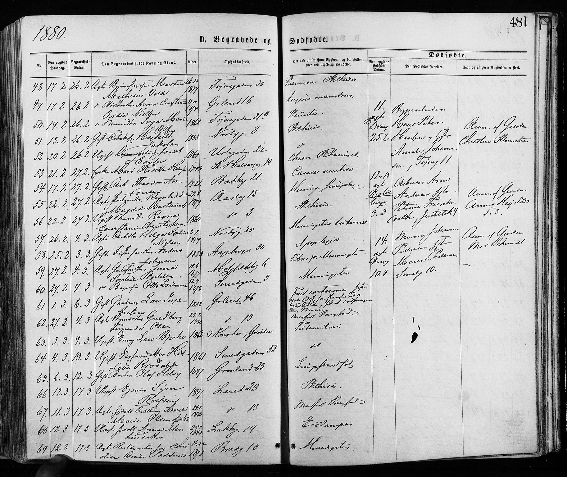 Grønland prestekontor Kirkebøker, SAO/A-10848/F/Fa/L0005: Ministerialbok nr. 5, 1869-1880, s. 481