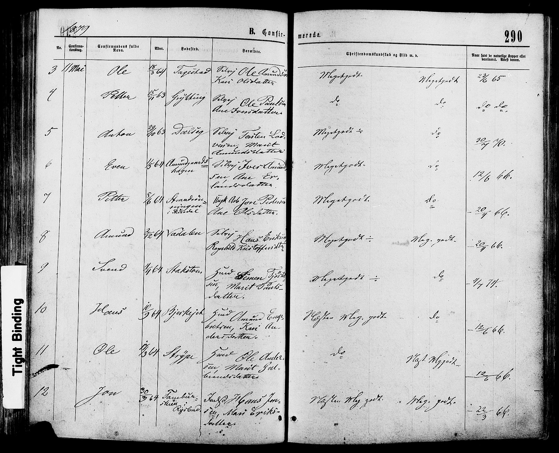 Sør-Fron prestekontor, SAH/PREST-010/H/Ha/Haa/L0002: Ministerialbok nr. 2, 1864-1880, s. 290