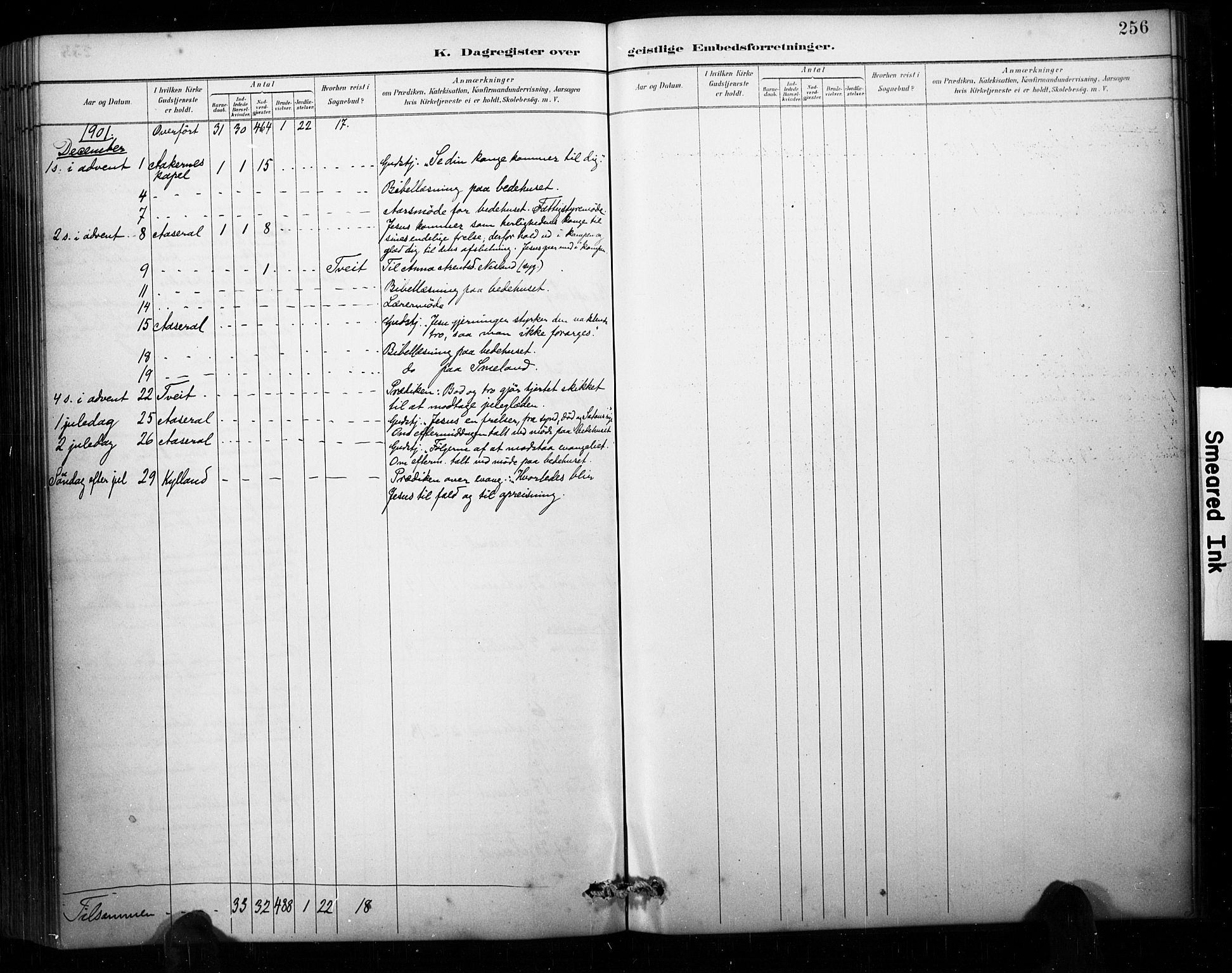 Åseral sokneprestkontor, AV/SAK-1111-0051/F/Fa/L0003: Ministerialbok nr. A 3, 1884-1901, s. 256