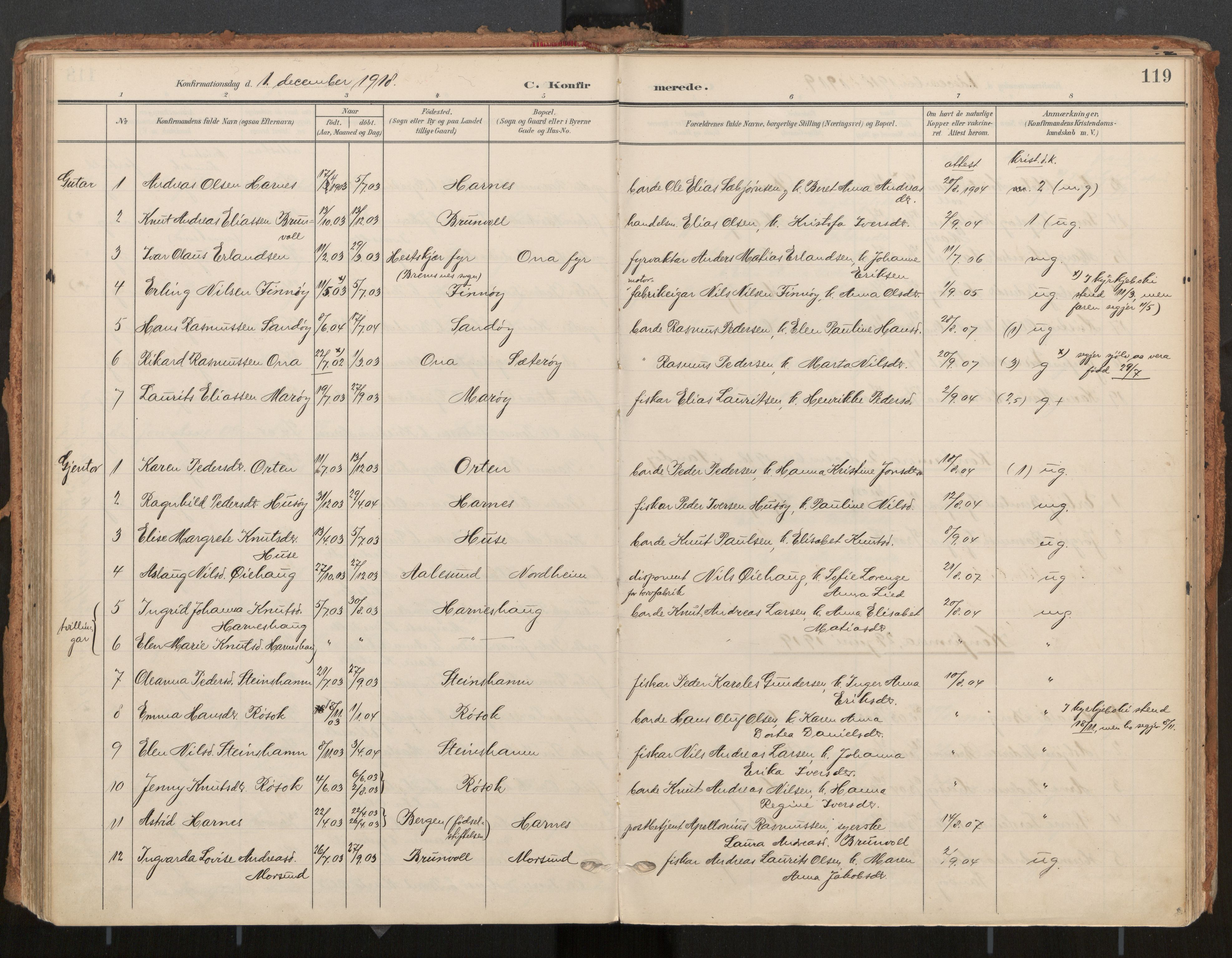 Ministerialprotokoller, klokkerbøker og fødselsregistre - Møre og Romsdal, AV/SAT-A-1454/561/L0730: Ministerialbok nr. 561A04, 1901-1929, s. 119