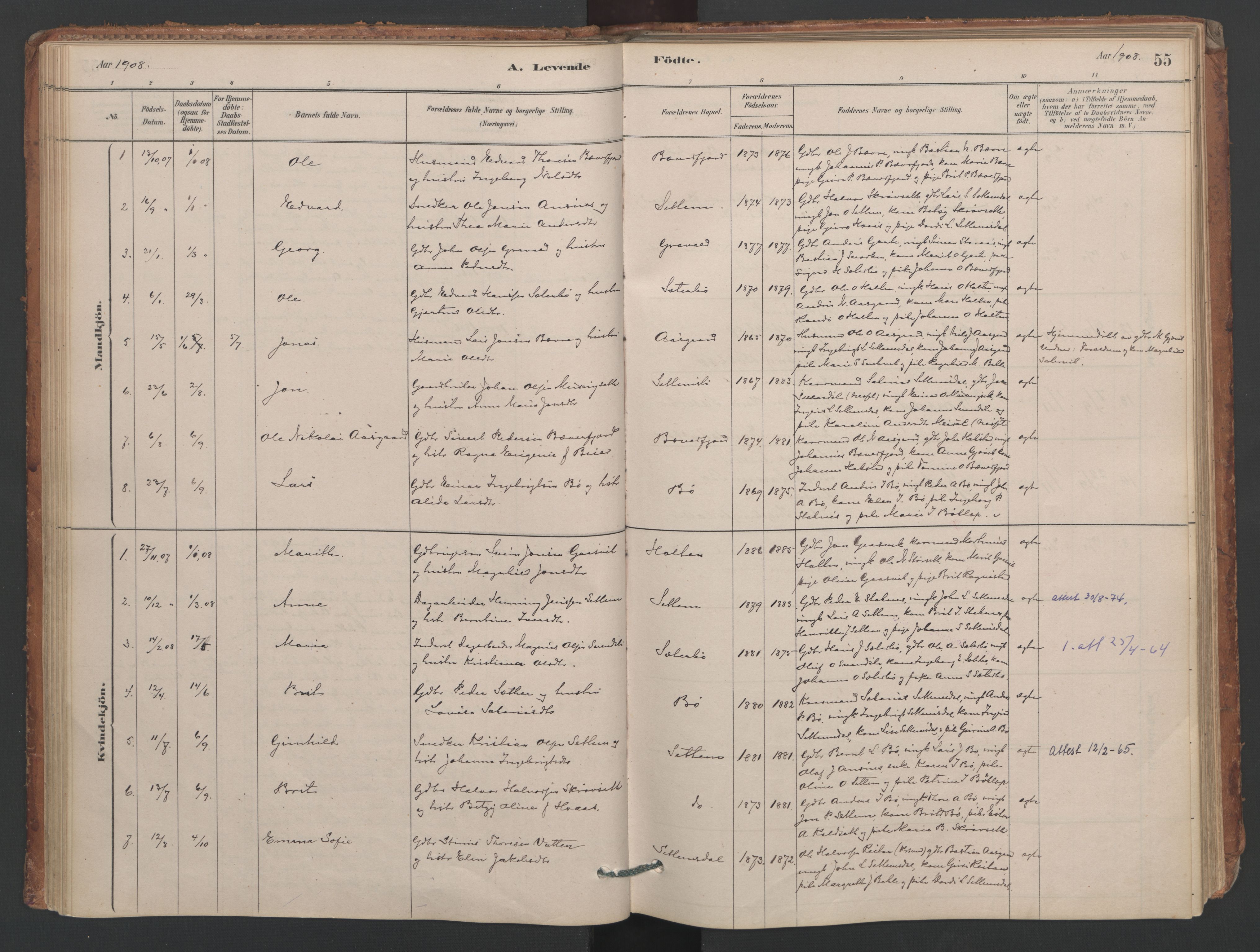 Ministerialprotokoller, klokkerbøker og fødselsregistre - Møre og Romsdal, SAT/A-1454/594/L1036: Ministerialbok nr. 594A02 (?), 1879-1910, s. 55