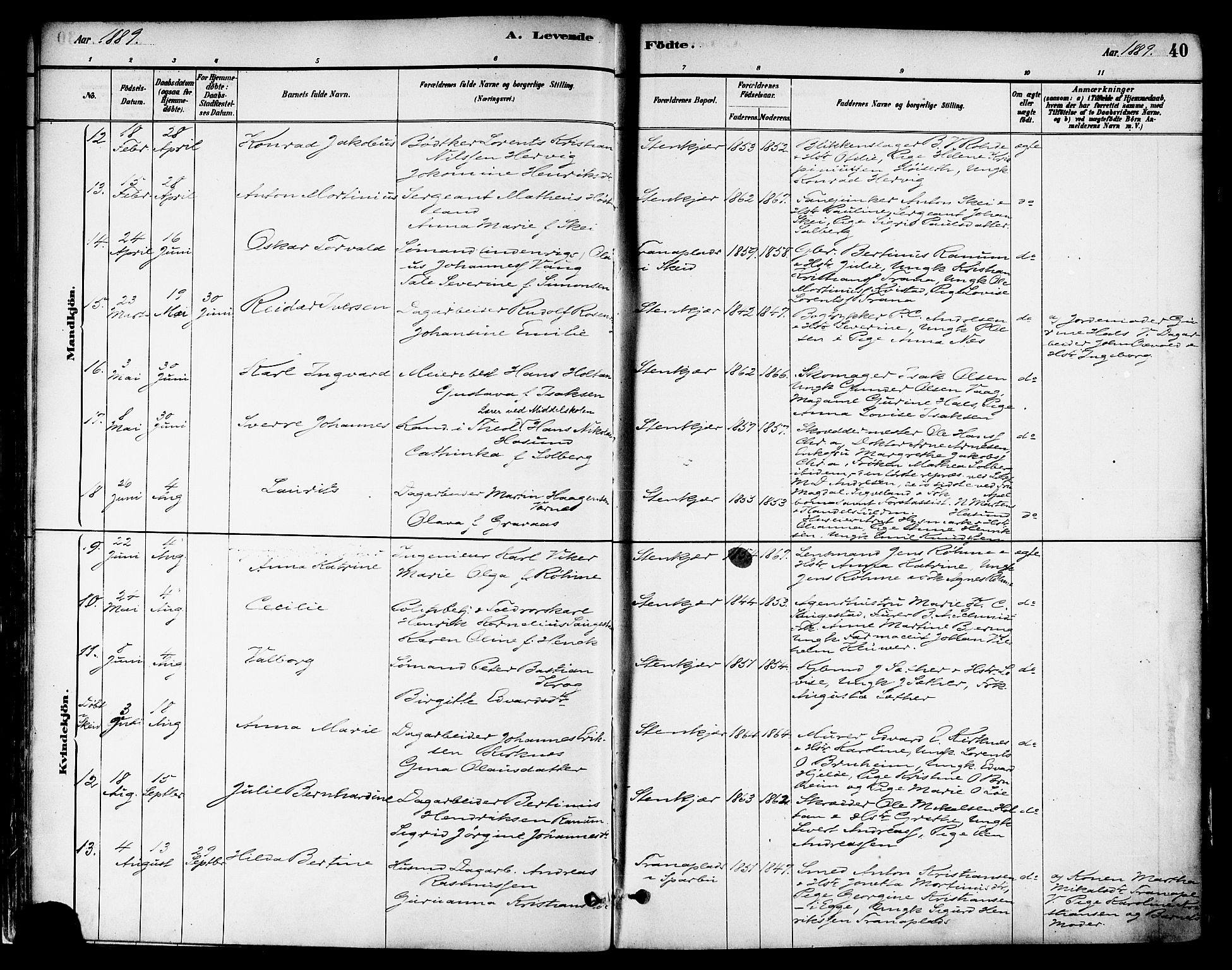 Ministerialprotokoller, klokkerbøker og fødselsregistre - Nord-Trøndelag, AV/SAT-A-1458/739/L0371: Ministerialbok nr. 739A03, 1881-1895, s. 40