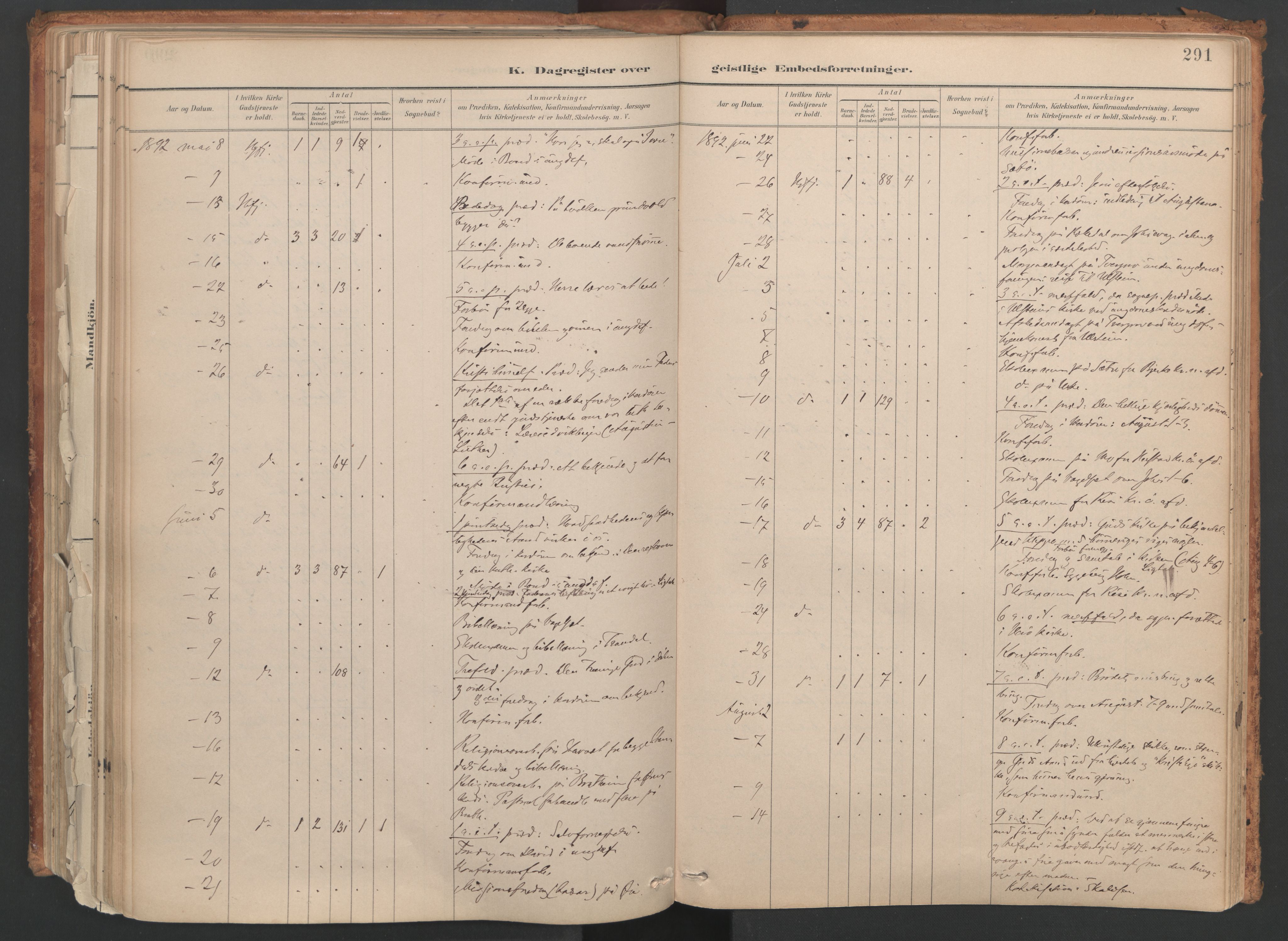 Ministerialprotokoller, klokkerbøker og fødselsregistre - Møre og Romsdal, AV/SAT-A-1454/515/L0211: Ministerialbok nr. 515A07, 1886-1910, s. 291