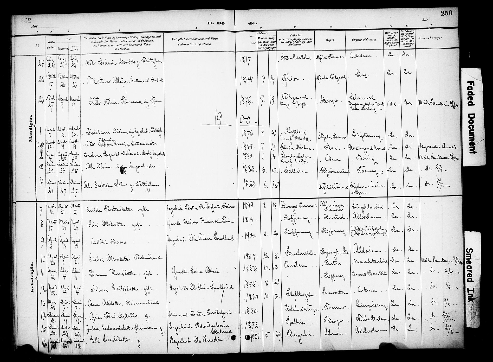 Stor-Elvdal prestekontor, SAH/PREST-052/H/Ha/Hab/L0003: Klokkerbok nr. 3, 1895-1917, s. 250