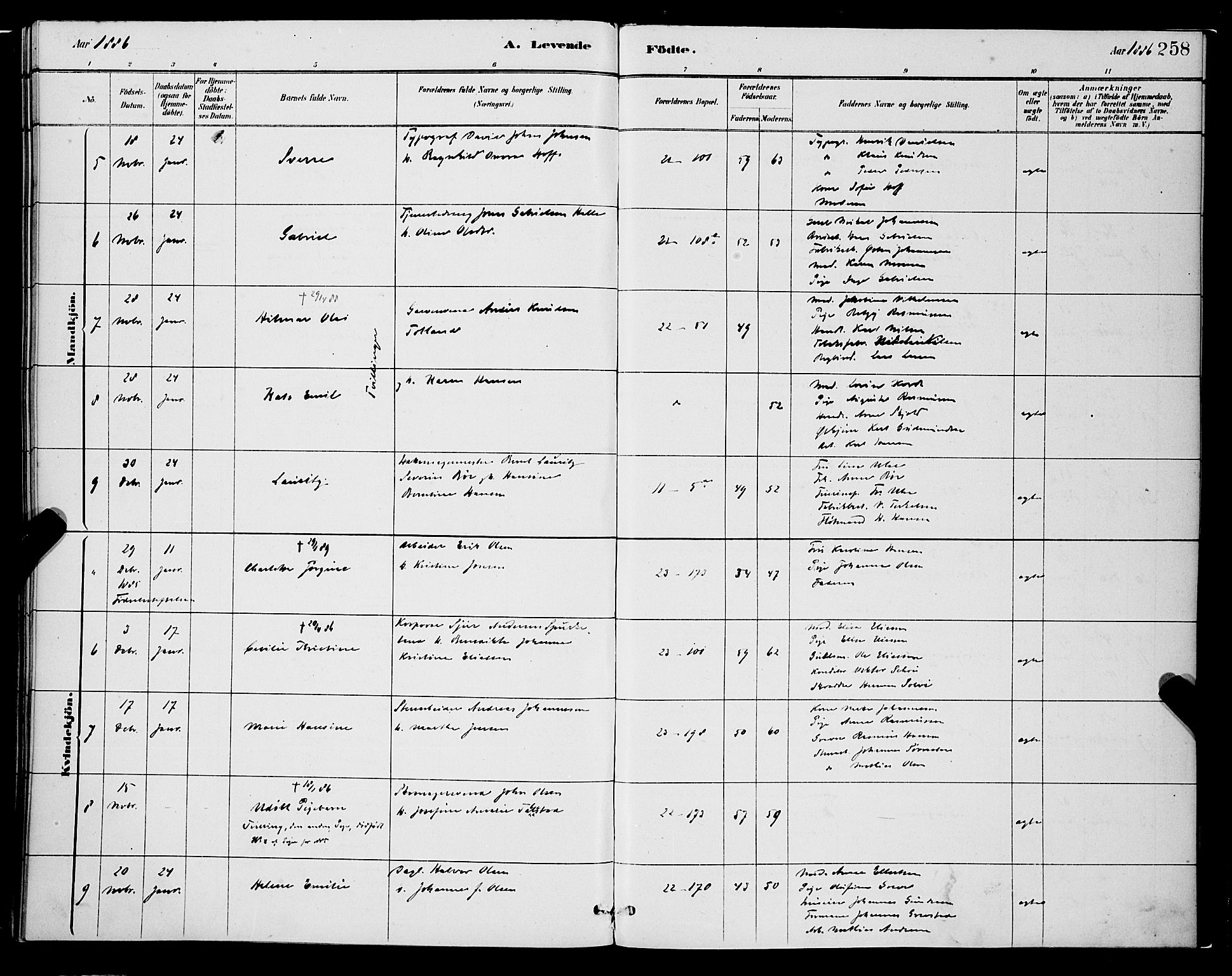 Korskirken sokneprestembete, AV/SAB-A-76101/H/Hab: Klokkerbok nr. B 8, 1878-1887, s. 258