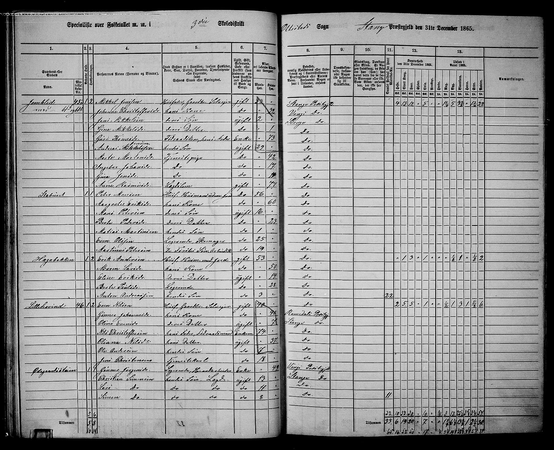 RA, Folketelling 1865 for 0417P Stange prestegjeld, 1865, s. 62