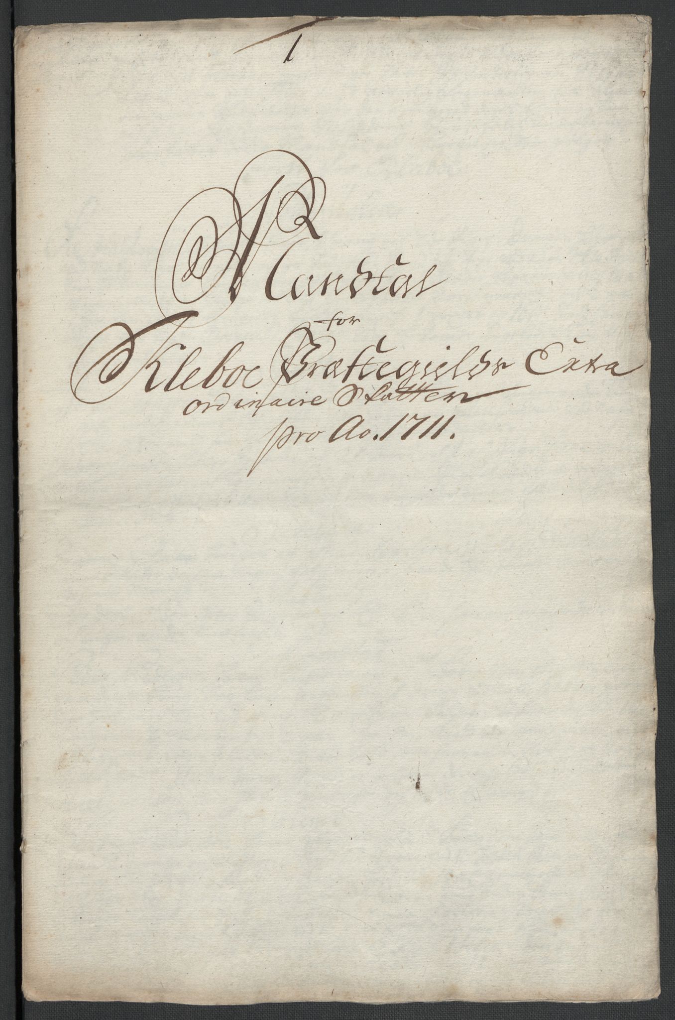 Rentekammeret inntil 1814, Reviderte regnskaper, Fogderegnskap, RA/EA-4092/R61/L4112: Fogderegnskap Strinda og Selbu, 1711, s. 314