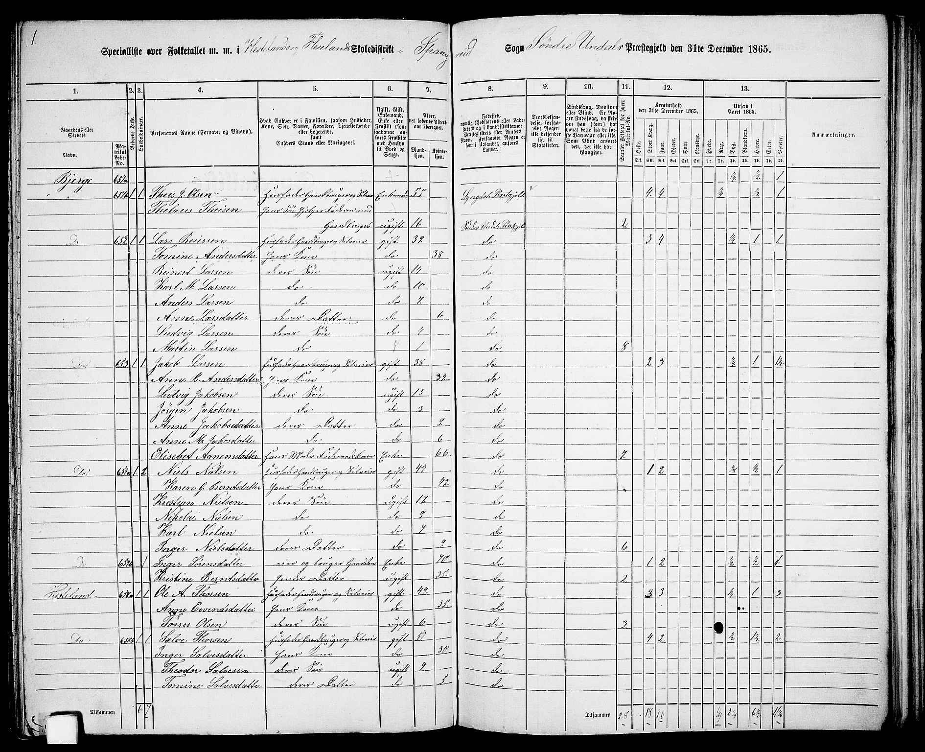 RA, Folketelling 1865 for 1029P Sør-Audnedal prestegjeld, 1865, s. 151