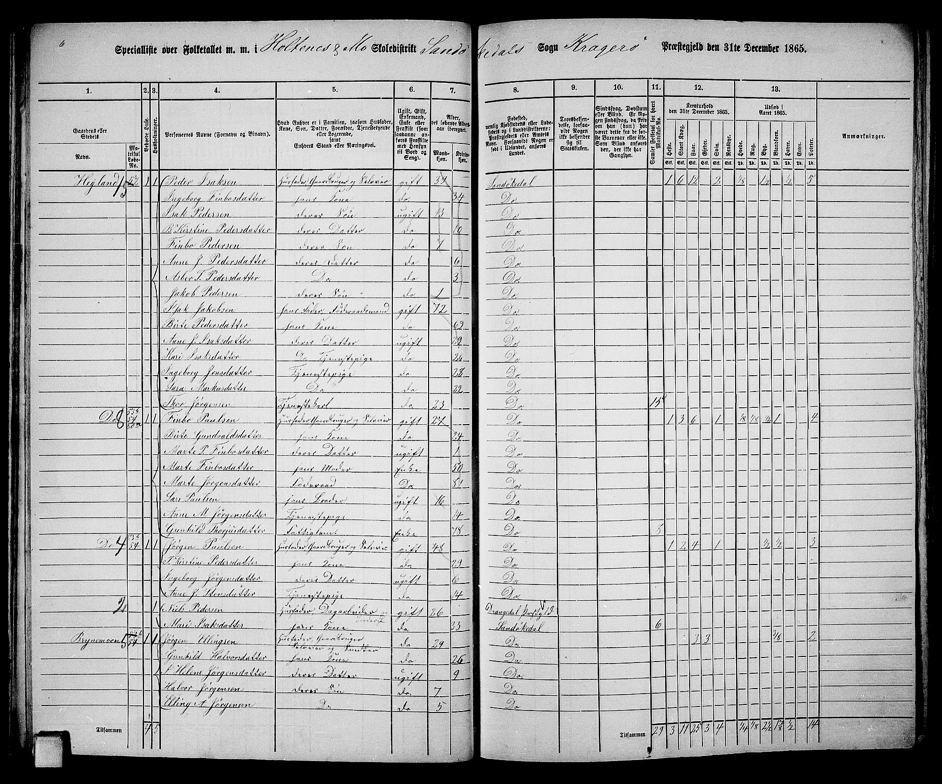 RA, Folketelling 1865 for 0816L Kragerø prestegjeld, Sannidal sokn og Skåtøy sokn, 1865, s. 31