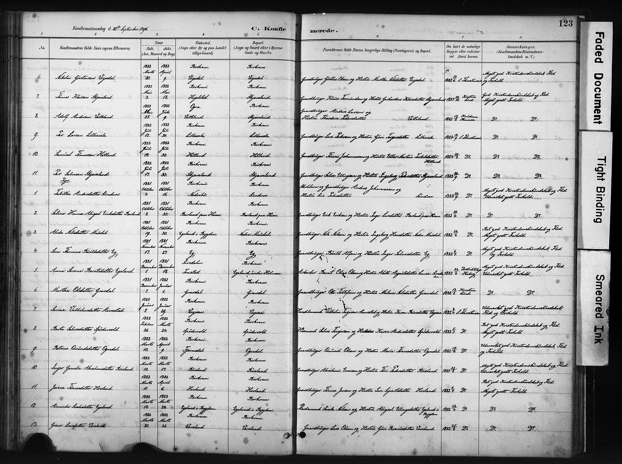 Helleland sokneprestkontor, AV/SAST-A-101810: Ministerialbok nr. A 9, 1887-1908, s. 123