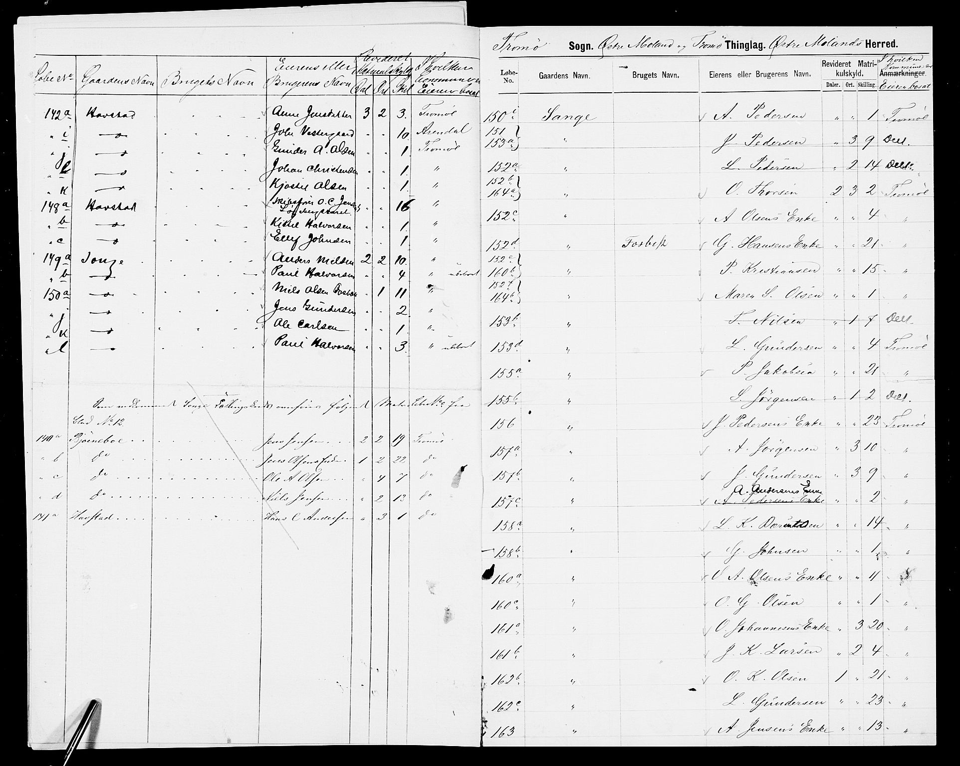 SAK, Folketelling 1875 for 0918P Austre Moland prestegjeld, 1875, s. 13