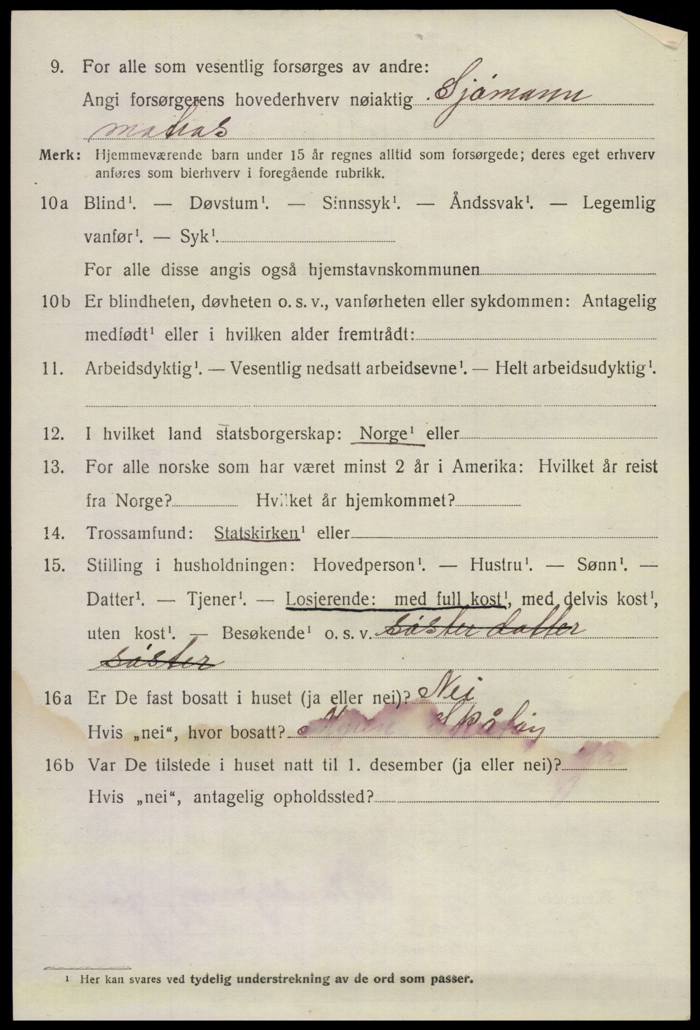SAKO, Folketelling 1920 for 0815 Skåtøy herred, 1920, s. 4229