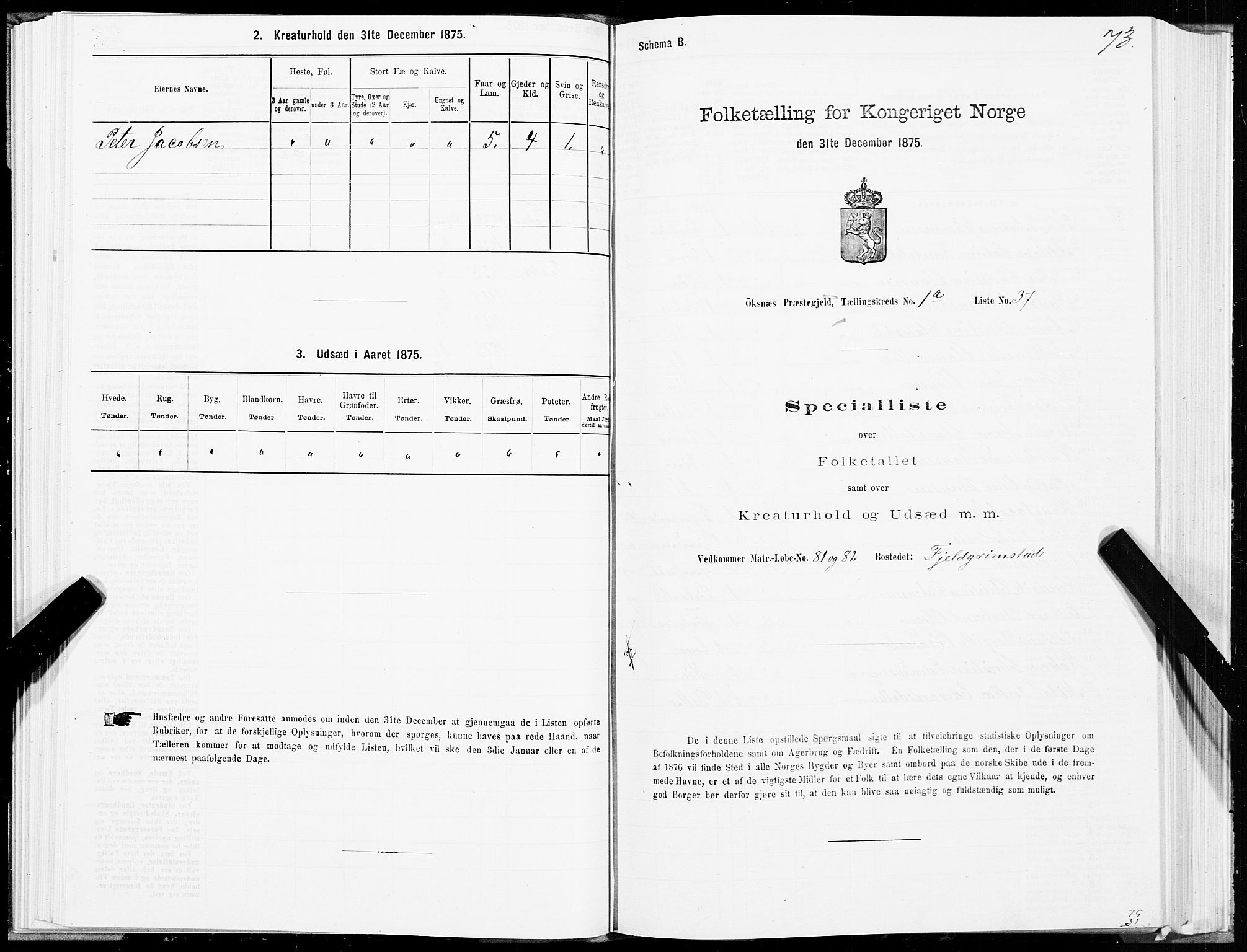 SAT, Folketelling 1875 for 1868P Øksnes prestegjeld, 1875, s. 1073