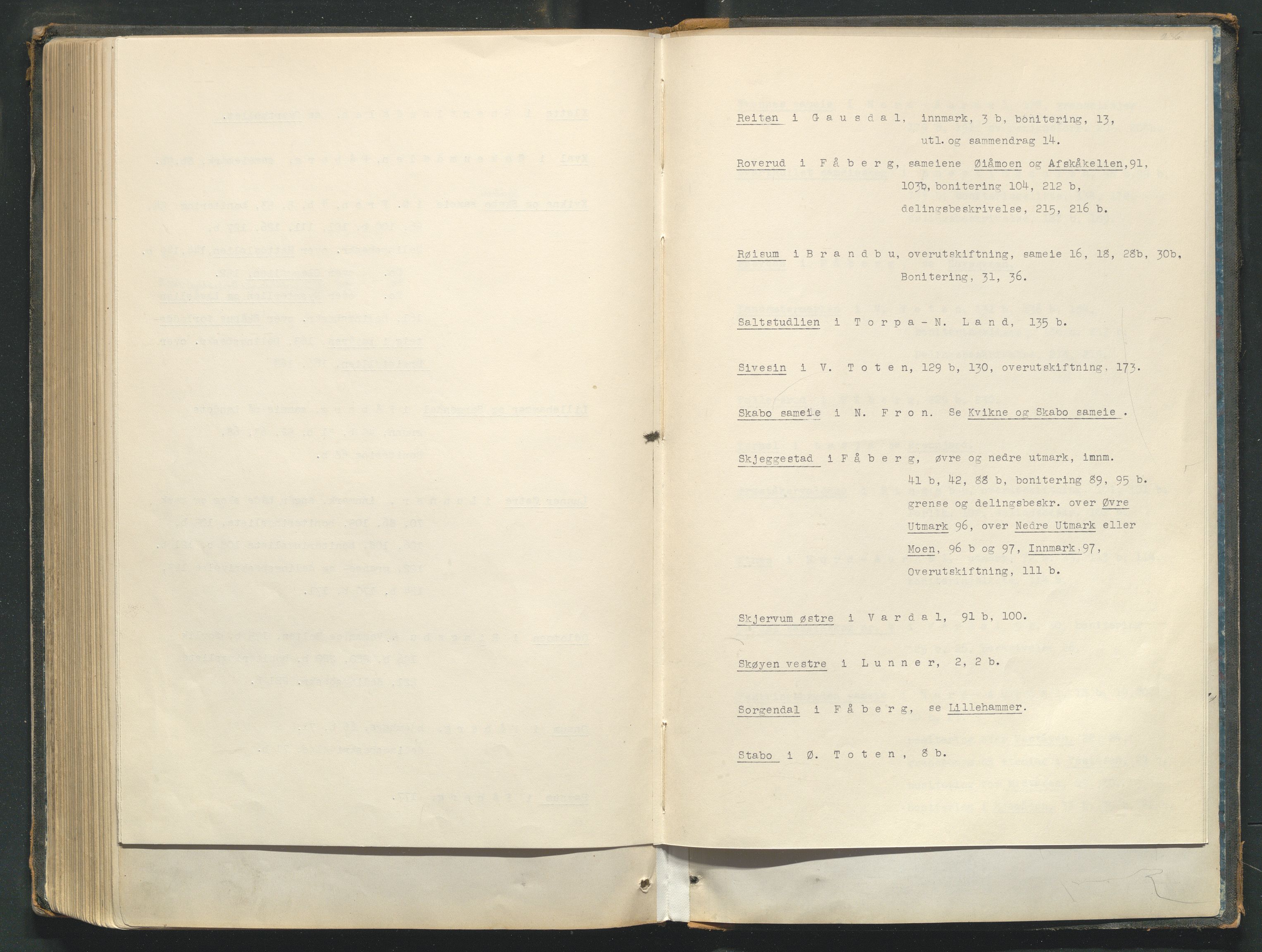 Utskiftningsformannen i Oppland fylke, AV/SAH-JORDSKIFTEO-001/H/Hc/Hcg/L0001/0001: Forhandlingsprotokoller  / Forhandlingsprotokoll - hele Oppland, 1867-1875