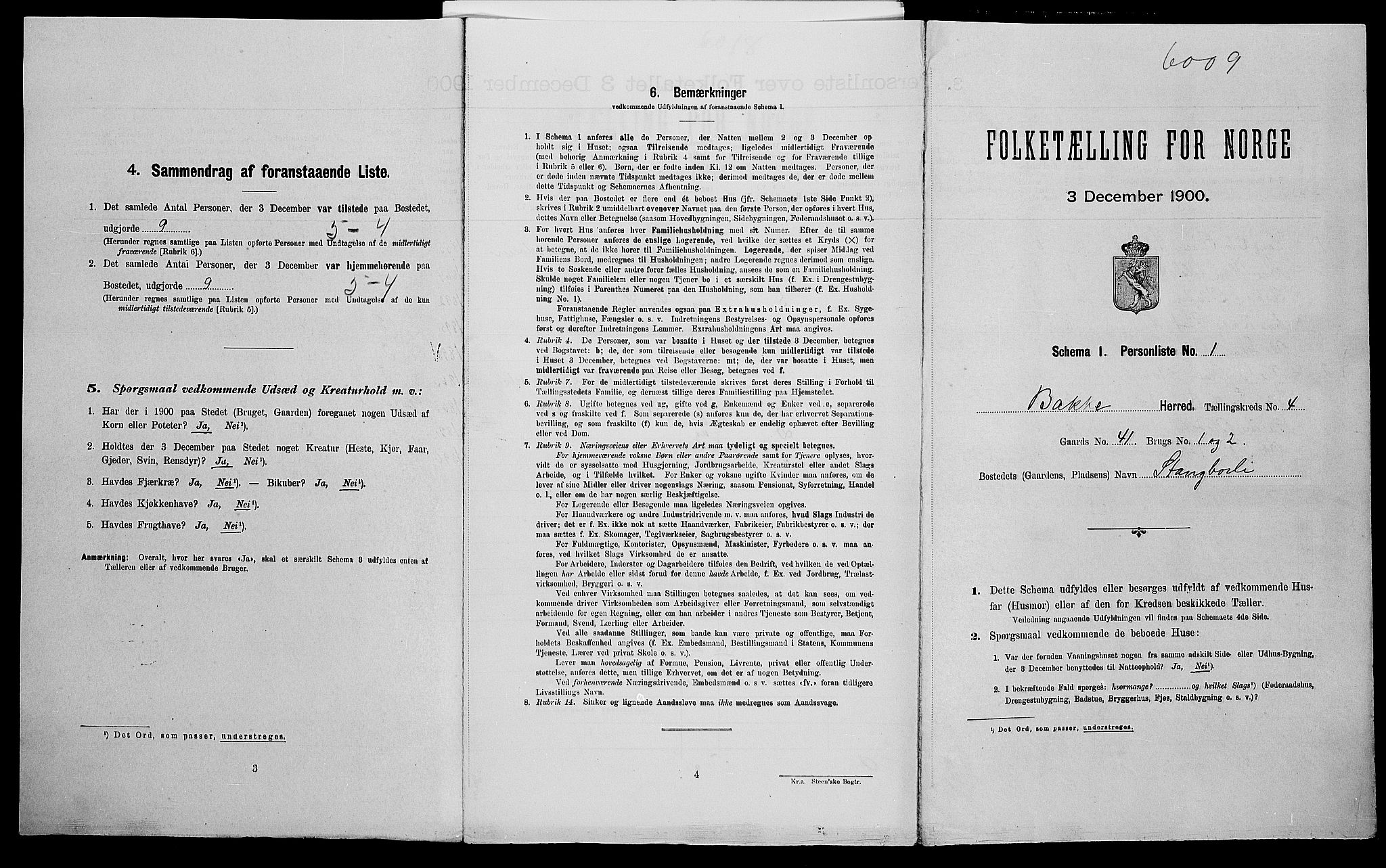 SAK, Folketelling 1900 for 1045 Bakke herred, 1900, s. 249