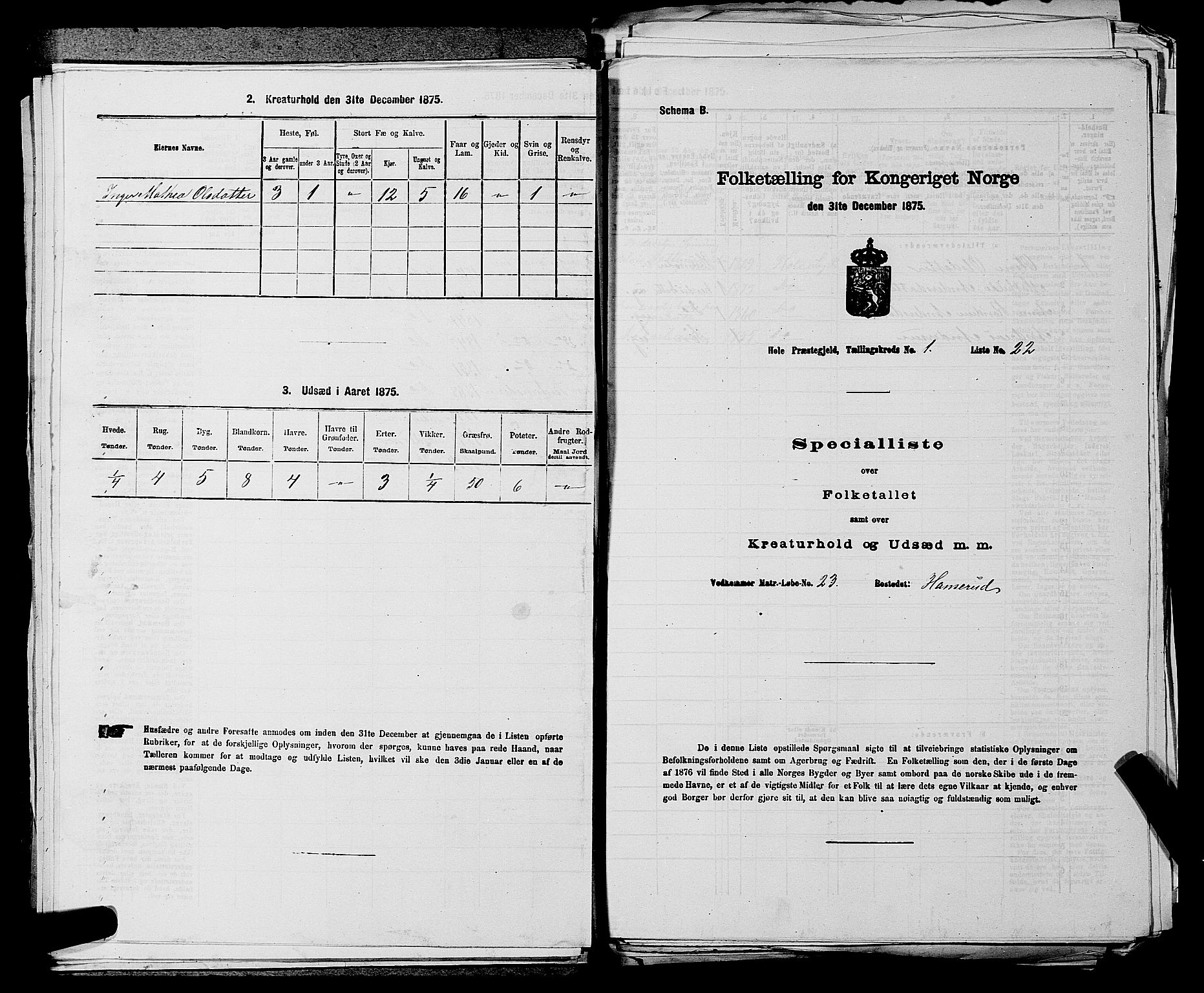 SAKO, Folketelling 1875 for 0612P Hole prestegjeld, 1875, s. 160