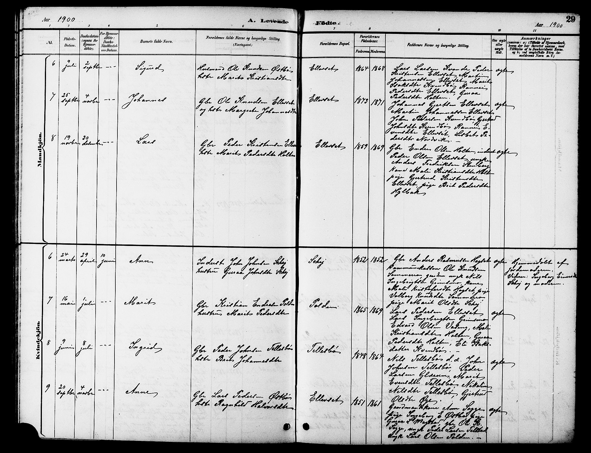 Ministerialprotokoller, klokkerbøker og fødselsregistre - Møre og Romsdal, AV/SAT-A-1454/596/L1058: Klokkerbok nr. 596C01, 1891-1907, s. 29