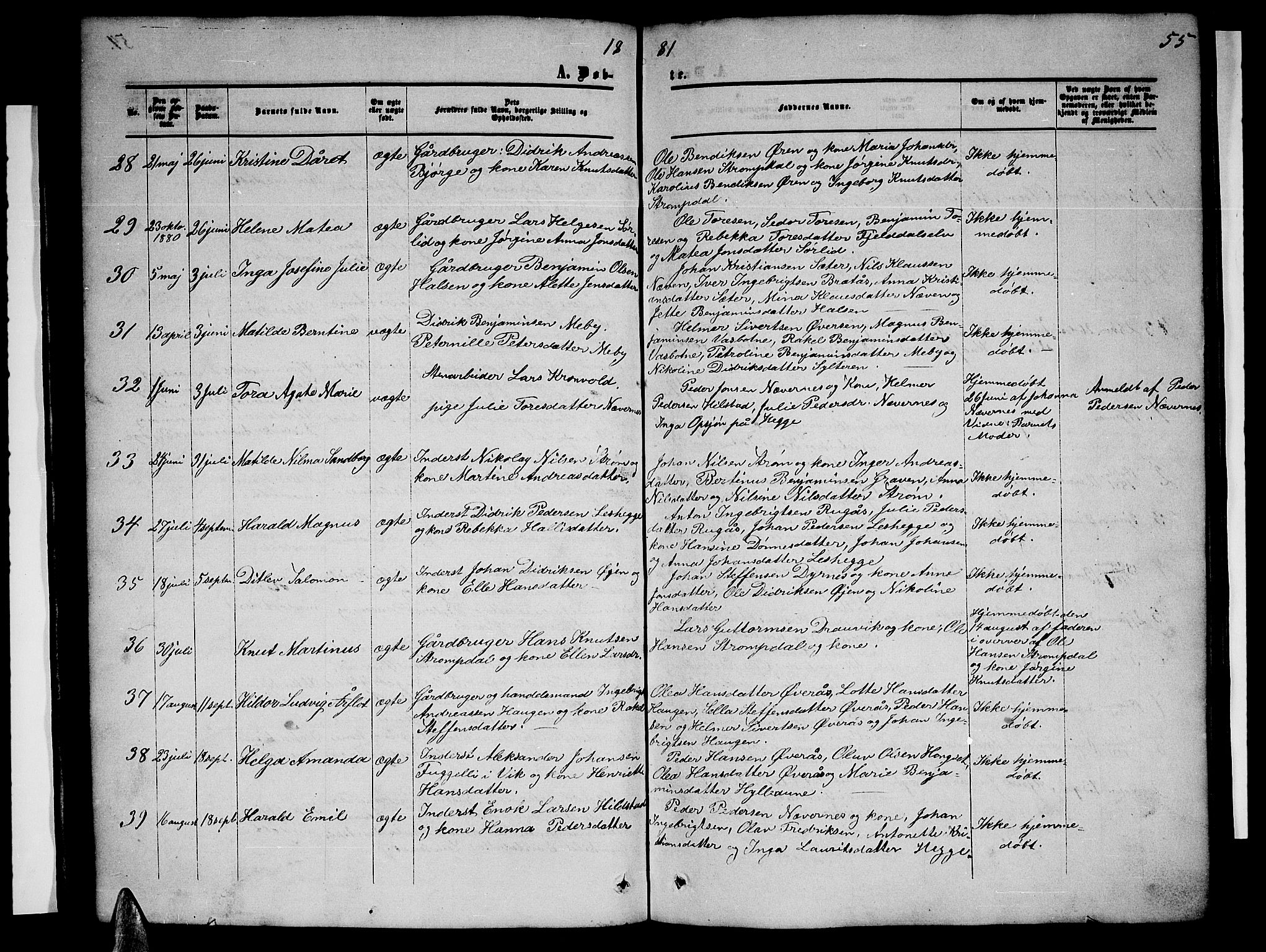 Ministerialprotokoller, klokkerbøker og fødselsregistre - Nordland, AV/SAT-A-1459/814/L0229: Klokkerbok nr. 814C02, 1859-1883, s. 55