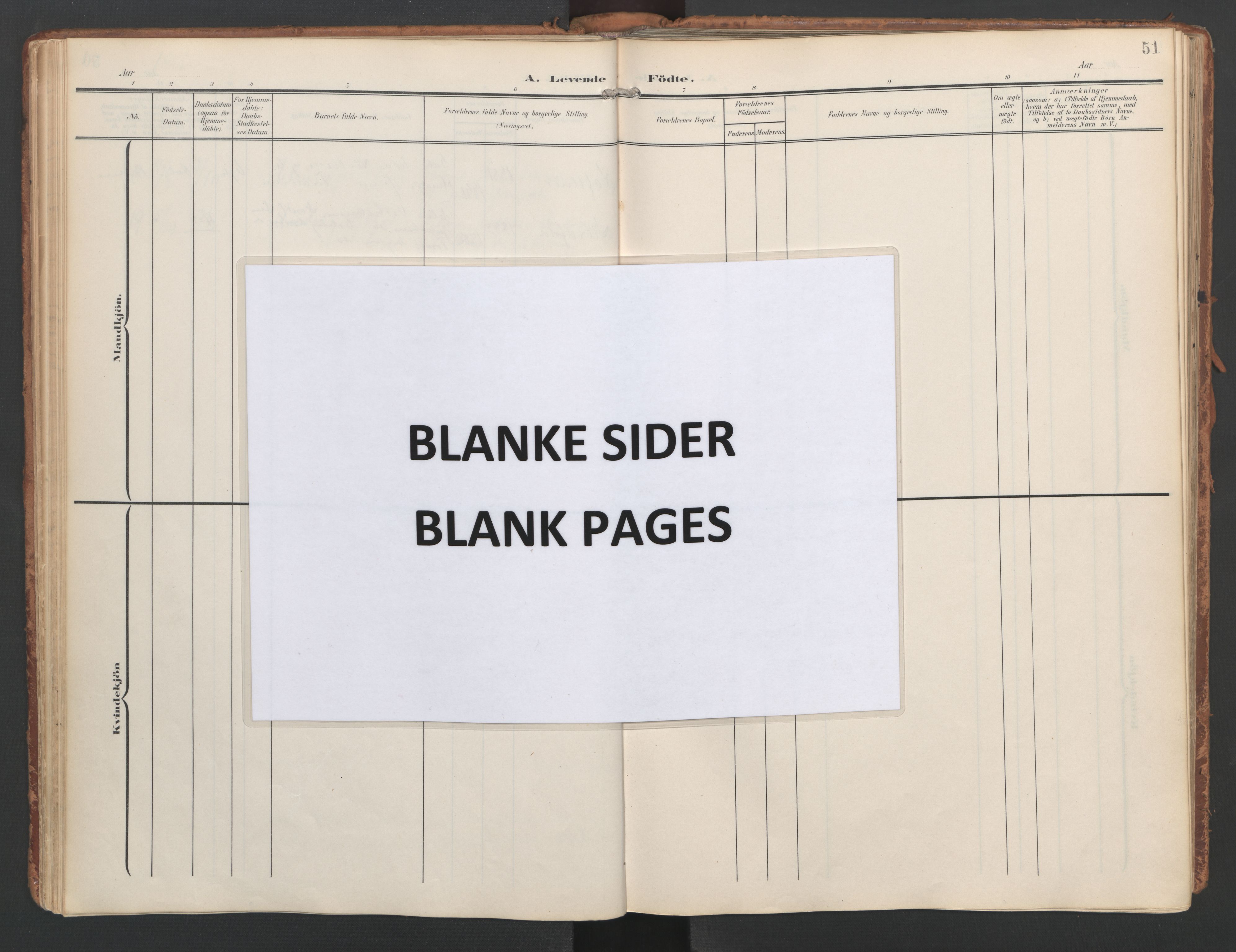 Ministerialprotokoller, klokkerbøker og fødselsregistre - Nordland, AV/SAT-A-1459/858/L0832: Ministerialbok nr. 858A02, 1902-1915, s. 51