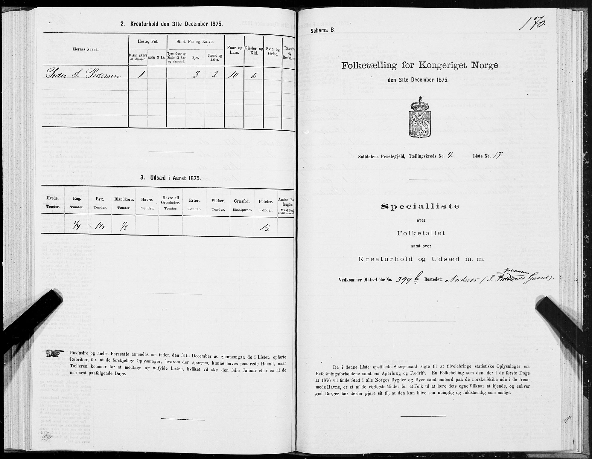 SAT, Folketelling 1875 for 1840P Saltdal prestegjeld, 1875, s. 2170