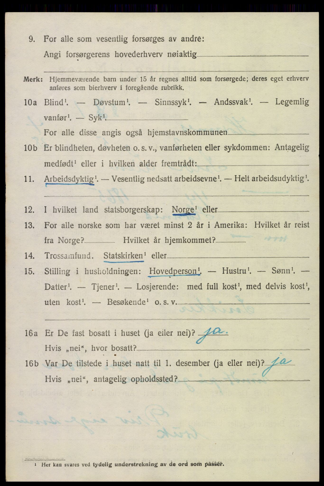 SAK, Folketelling 1920 for 0936 Hornnes herred, 1920, s. 1142