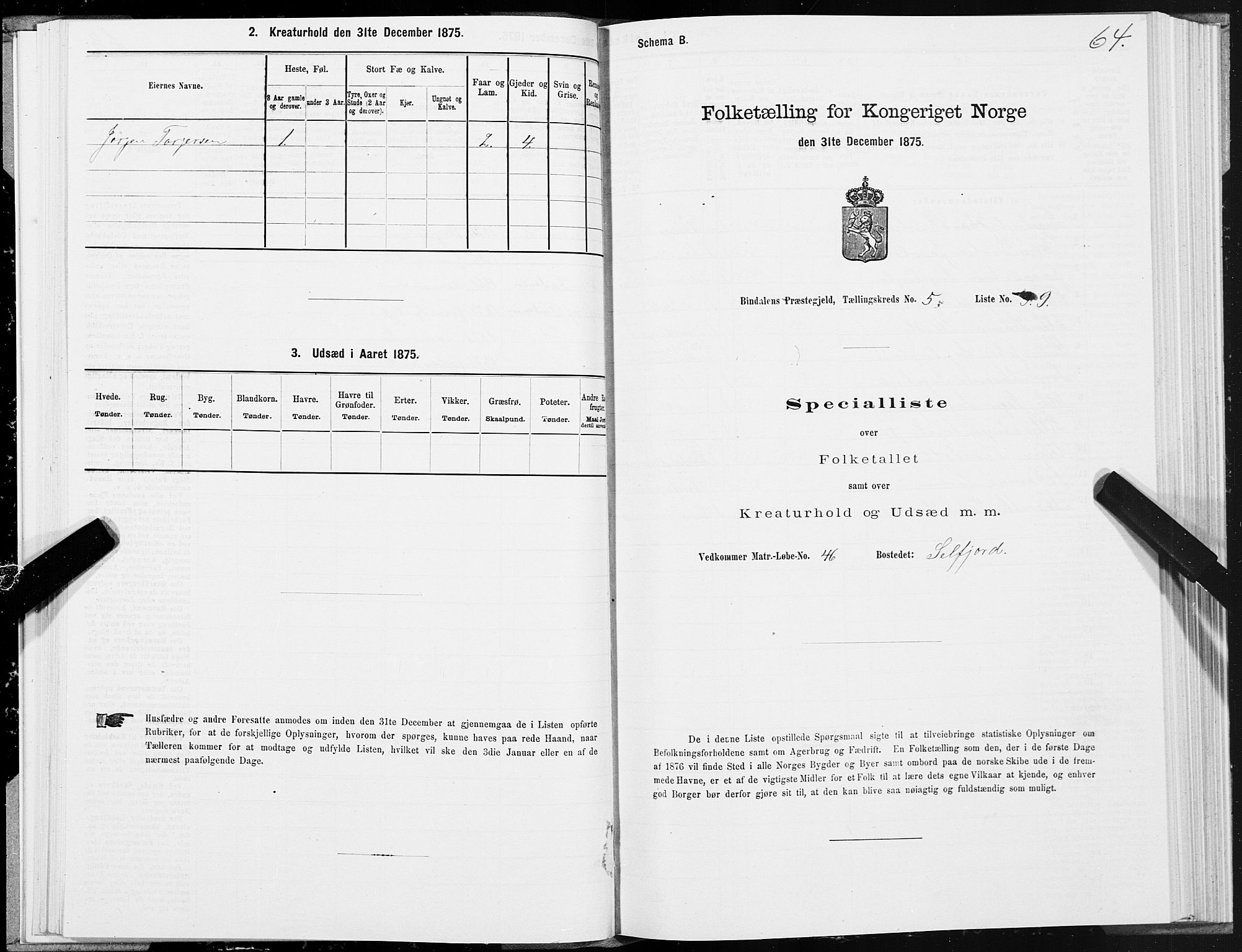 SAT, Folketelling 1875 for 1811P Bindal prestegjeld, 1875, s. 2064