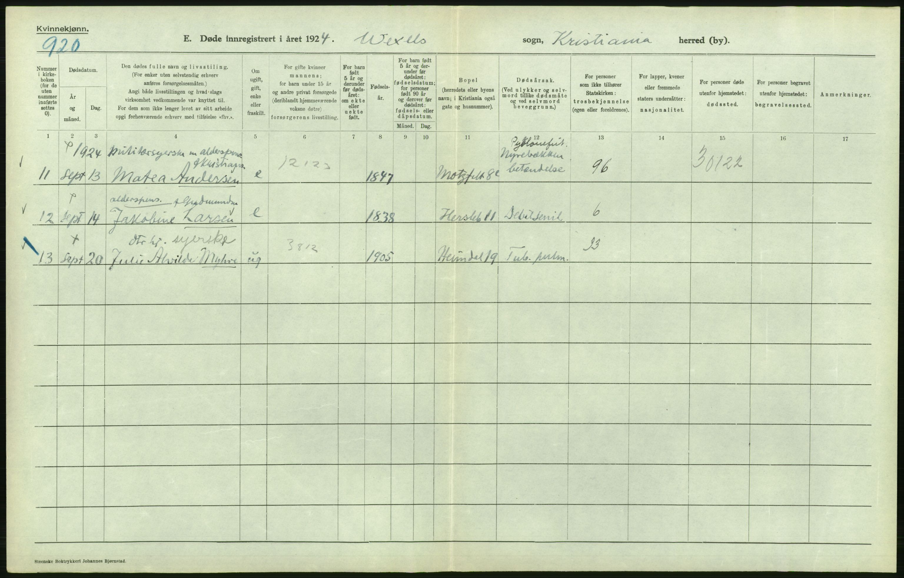 Statistisk sentralbyrå, Sosiodemografiske emner, Befolkning, AV/RA-S-2228/D/Df/Dfc/Dfcd/L0009: Kristiania: Døde kvinner, dødfødte, 1924, s. 508