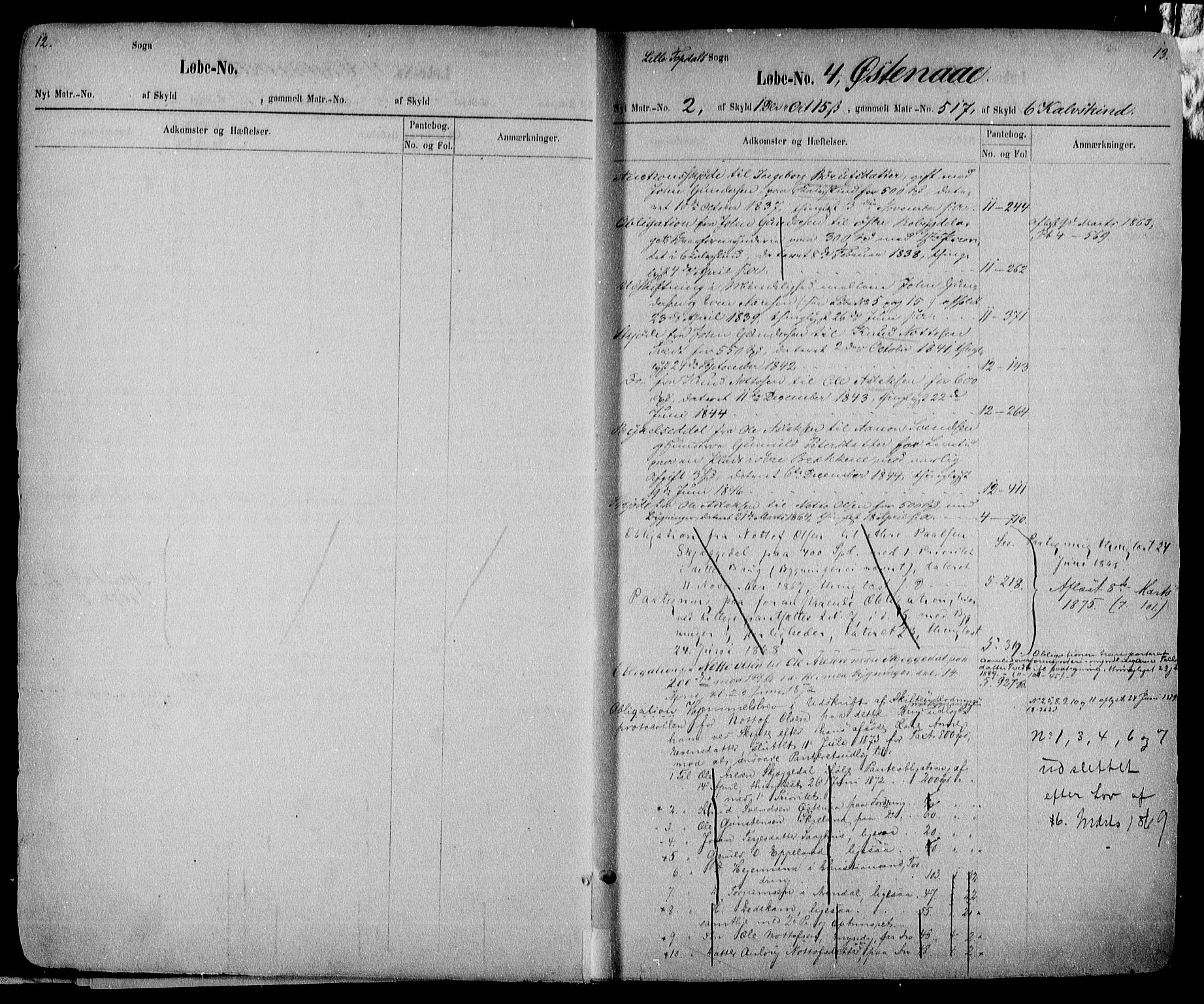 Nedenes sorenskriveri, AV/SAK-1221-0006/G/Ga/Gaa/L0001: Panteregister nr. 1, 1795-1906, s. 12-13