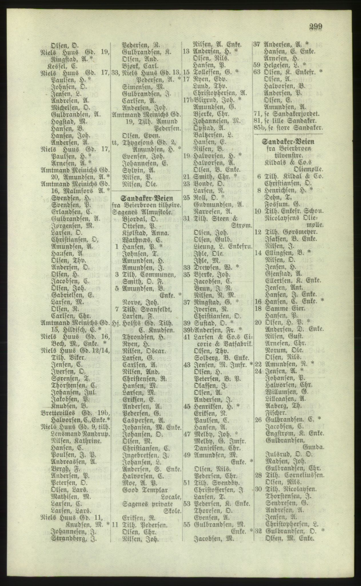 Kristiania/Oslo adressebok, PUBL/-, 1881, s. 299