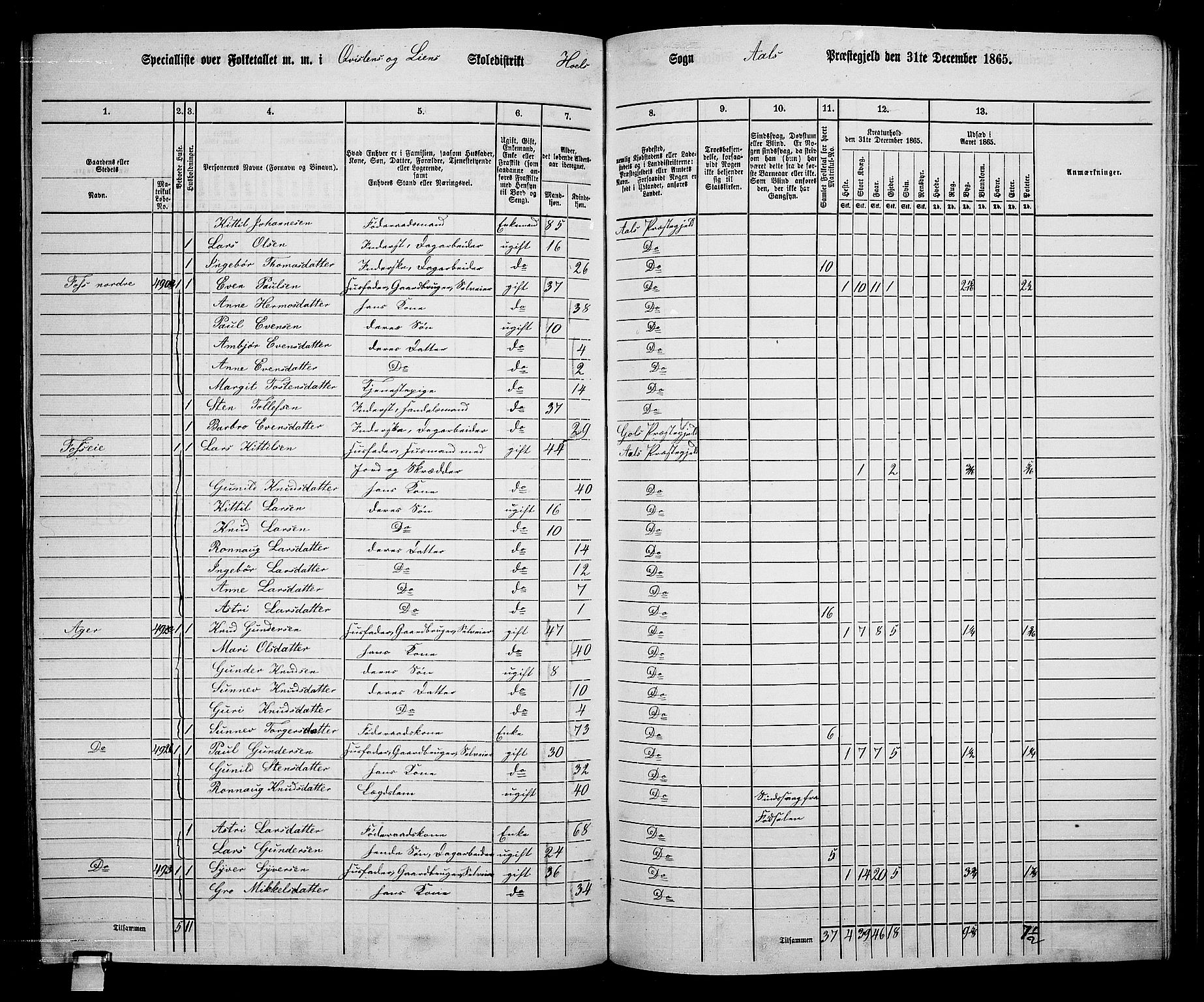 RA, Folketelling 1865 for 0619P Ål prestegjeld, 1865, s. 234
