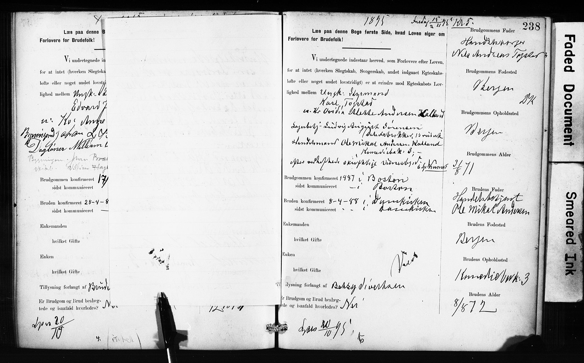 Domkirken sokneprestembete, SAB/A-74801: Forlovererklæringer nr. II.5.10, 1890-1899, s. 238