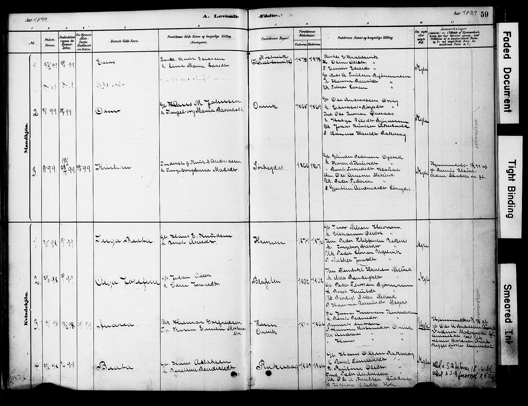 Ministerialprotokoller, klokkerbøker og fødselsregistre - Møre og Romsdal, AV/SAT-A-1454/563/L0736: Ministerialbok nr. 563A01, 1878-1903, s. 59