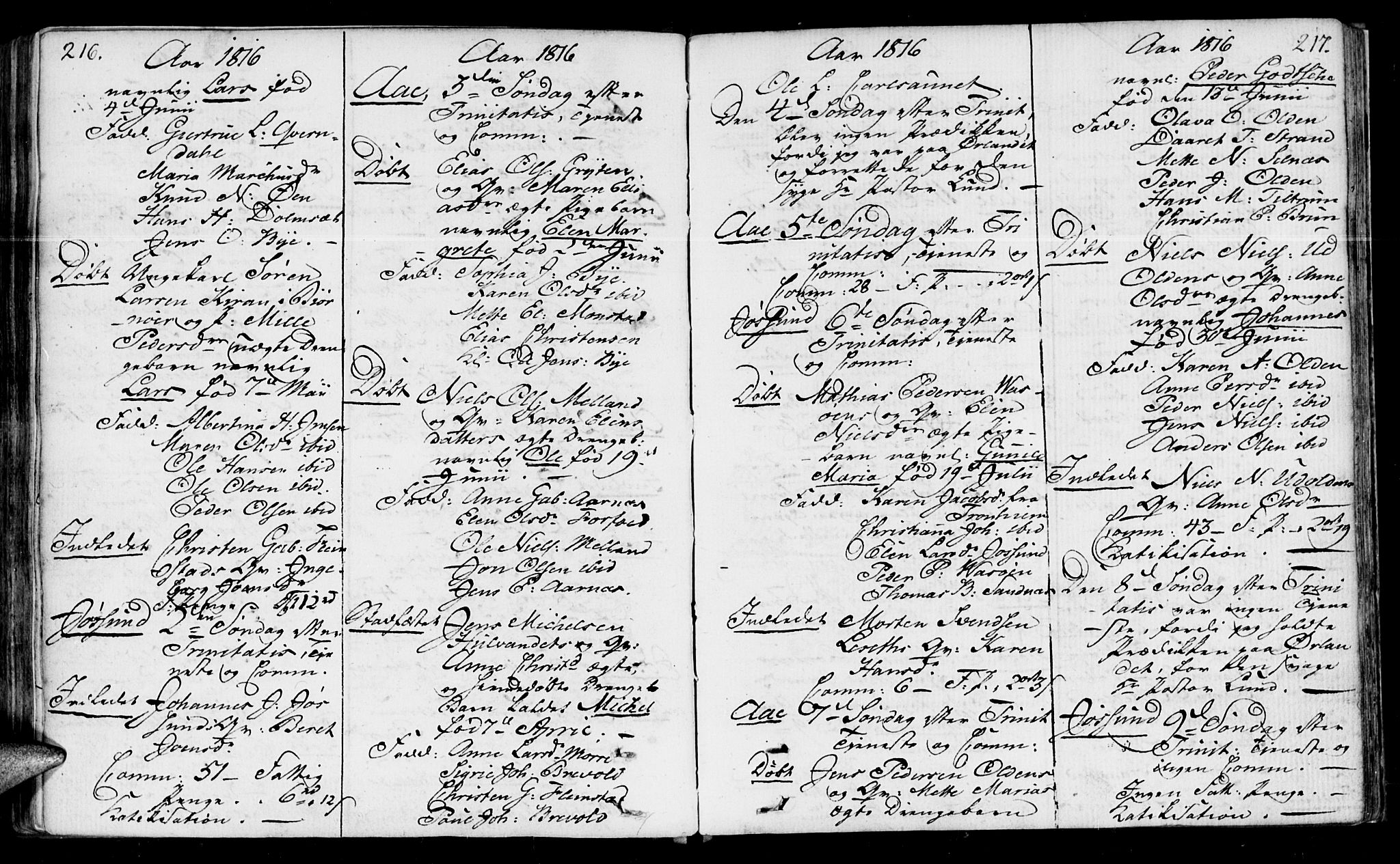 Ministerialprotokoller, klokkerbøker og fødselsregistre - Sør-Trøndelag, SAT/A-1456/655/L0674: Ministerialbok nr. 655A03, 1802-1826, s. 216-217