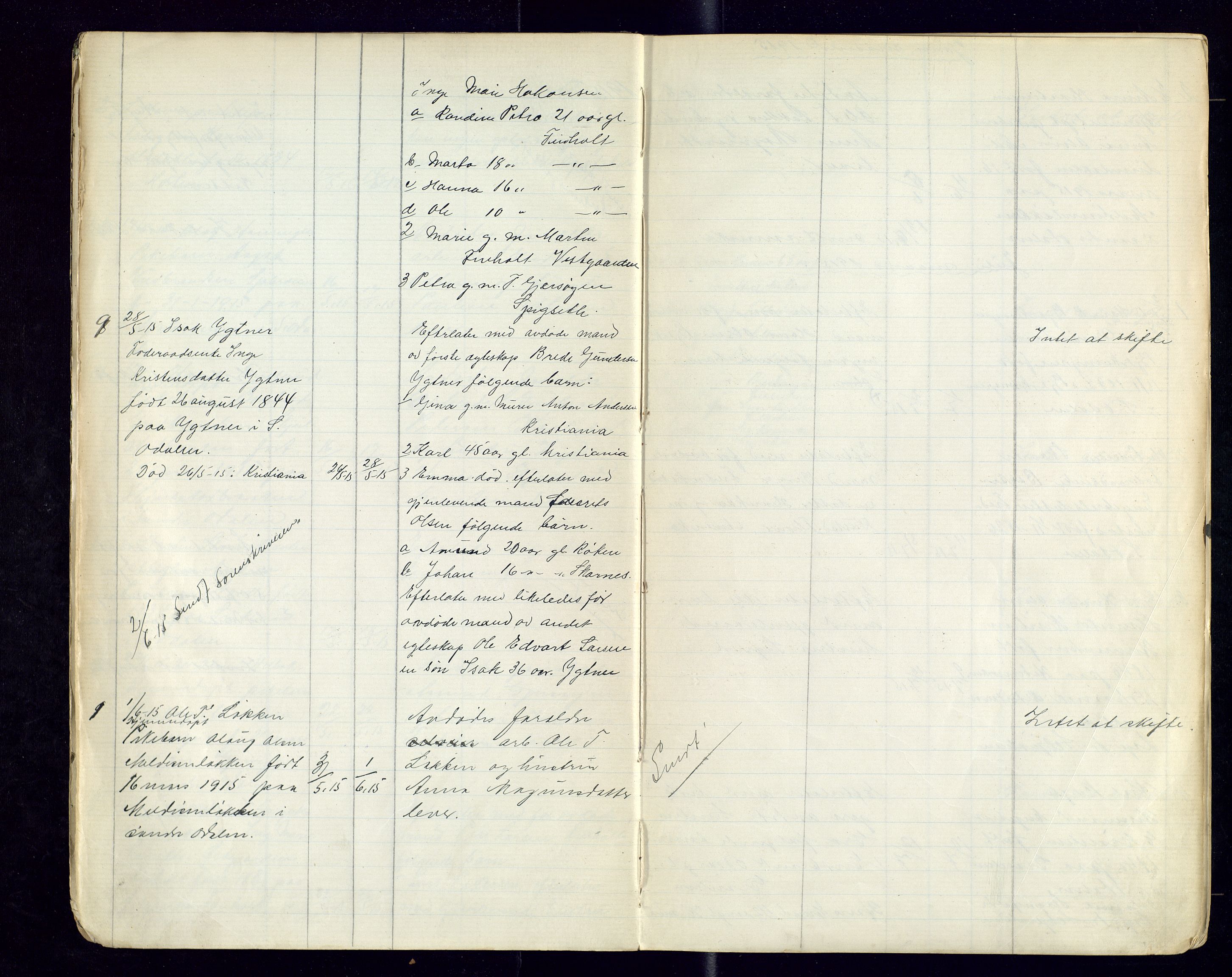 Sør-Odal lensmannskontor, AV/SAH-LHS-022/H/Hb/L0002/0002: Protokoller over anmeldte dødsfall / Protokoll over anmeldte dødsfall, 1915-1921