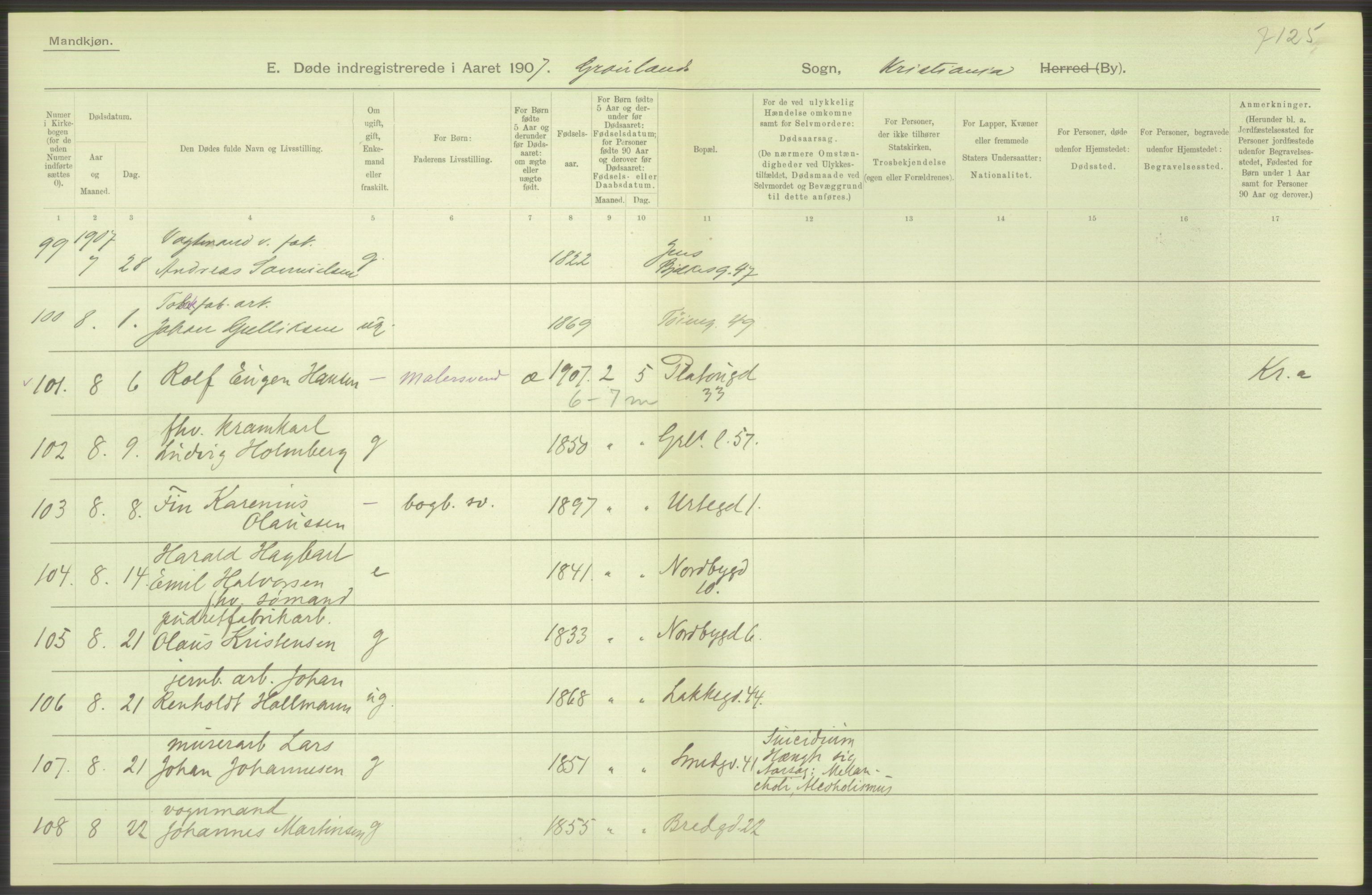 Statistisk sentralbyrå, Sosiodemografiske emner, Befolkning, AV/RA-S-2228/D/Df/Dfa/Dfae/L0010: Kristiania: Døde, dødfødte, 1907, s. 344