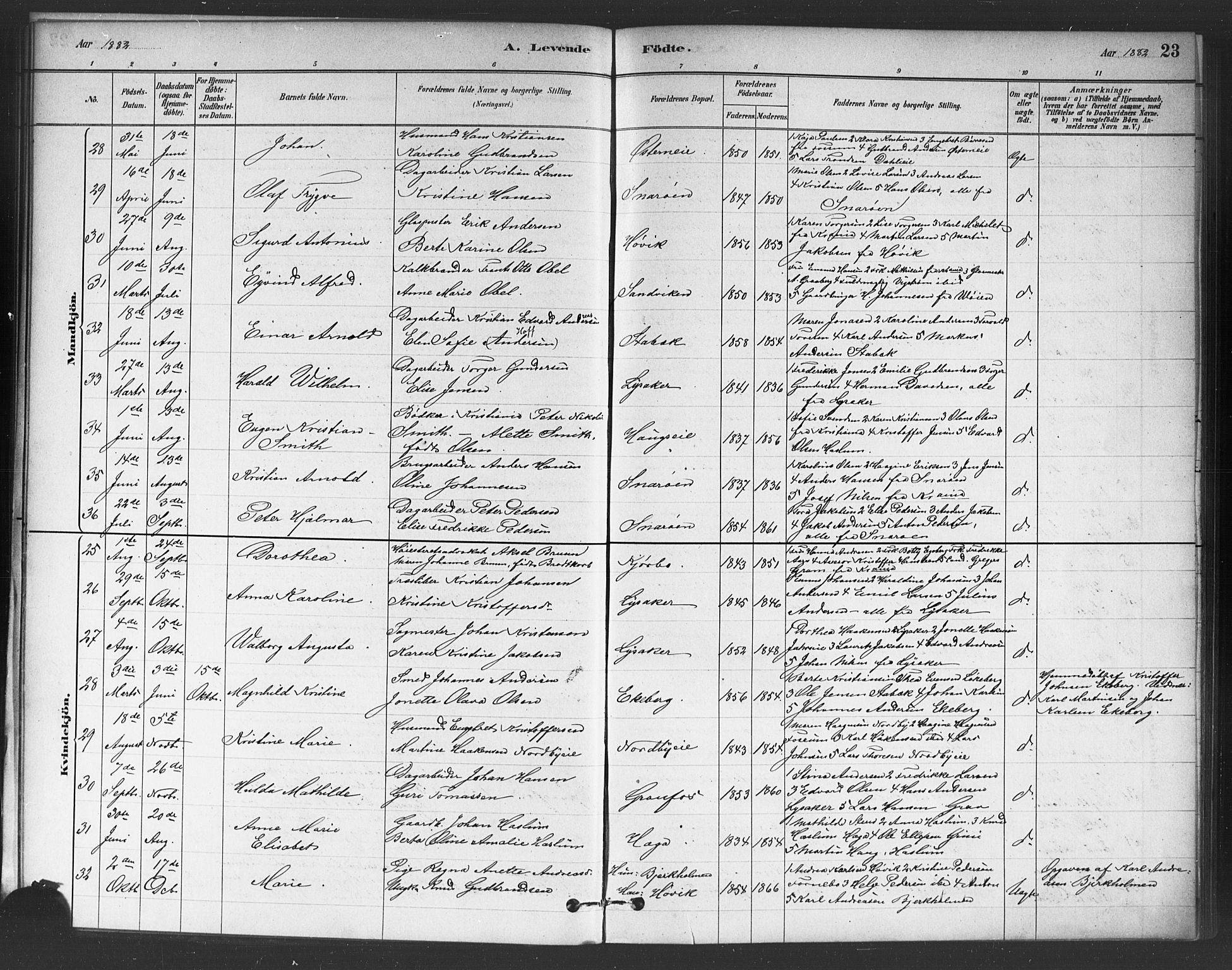 Asker prestekontor Kirkebøker, AV/SAO-A-10256a/F/Fc/L0001: Ministerialbok nr. III 1, 1879-1892, s. 23