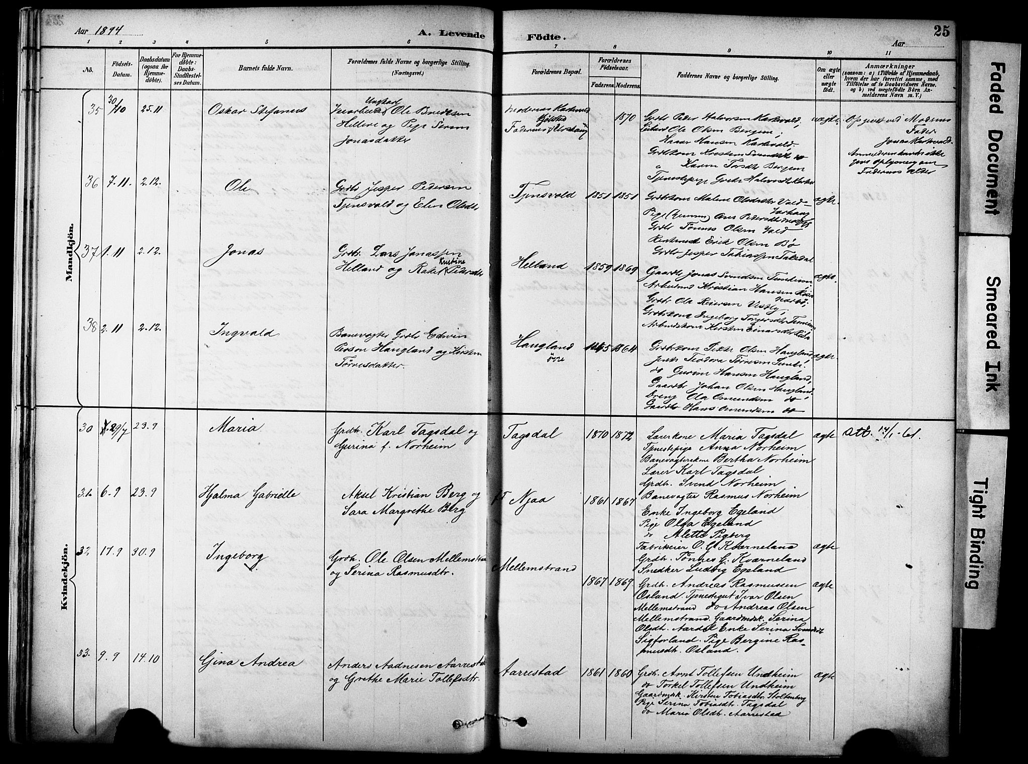 Lye sokneprestkontor, AV/SAST-A-101794/001/30BA/L0011: Ministerialbok nr. A 9, 1893-1903, s. 25