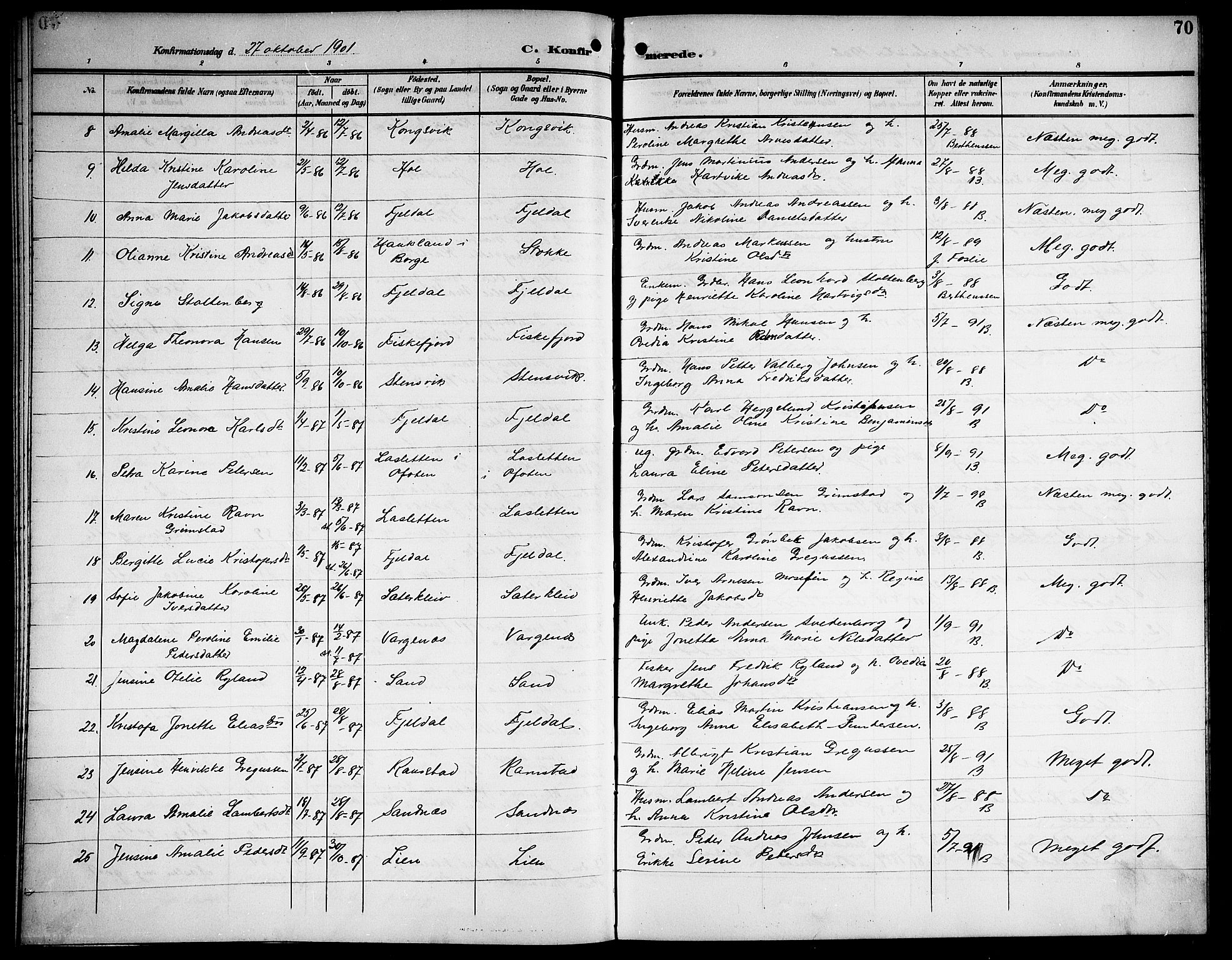 Ministerialprotokoller, klokkerbøker og fødselsregistre - Nordland, AV/SAT-A-1459/865/L0932: Klokkerbok nr. 865C04, 1901-1917, s. 70