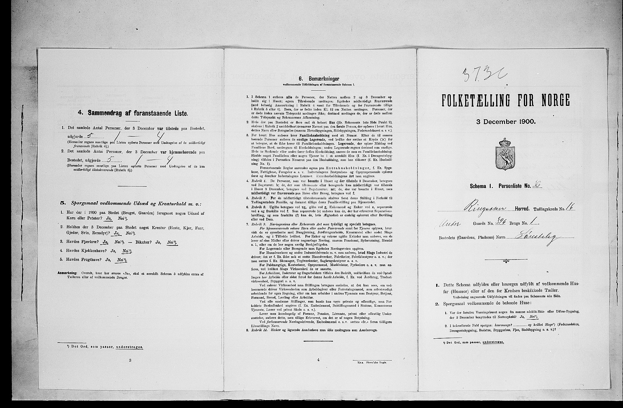 SAH, Folketelling 1900 for 0412 Ringsaker herred, 1900, s. 3020