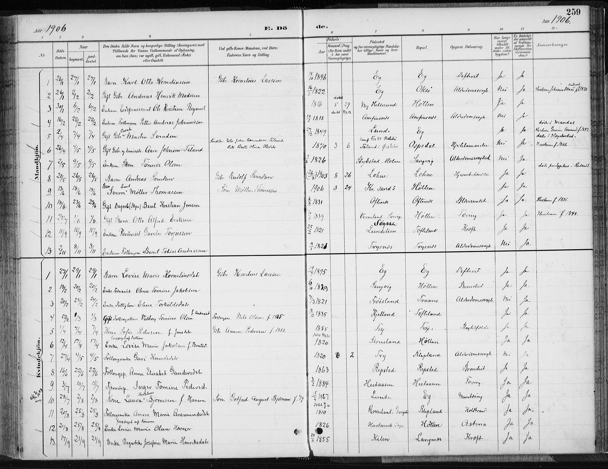 Søgne sokneprestkontor, SAK/1111-0037/F/Fa/Fab/L0013: Ministerialbok nr. A 13, 1892-1911, s. 259