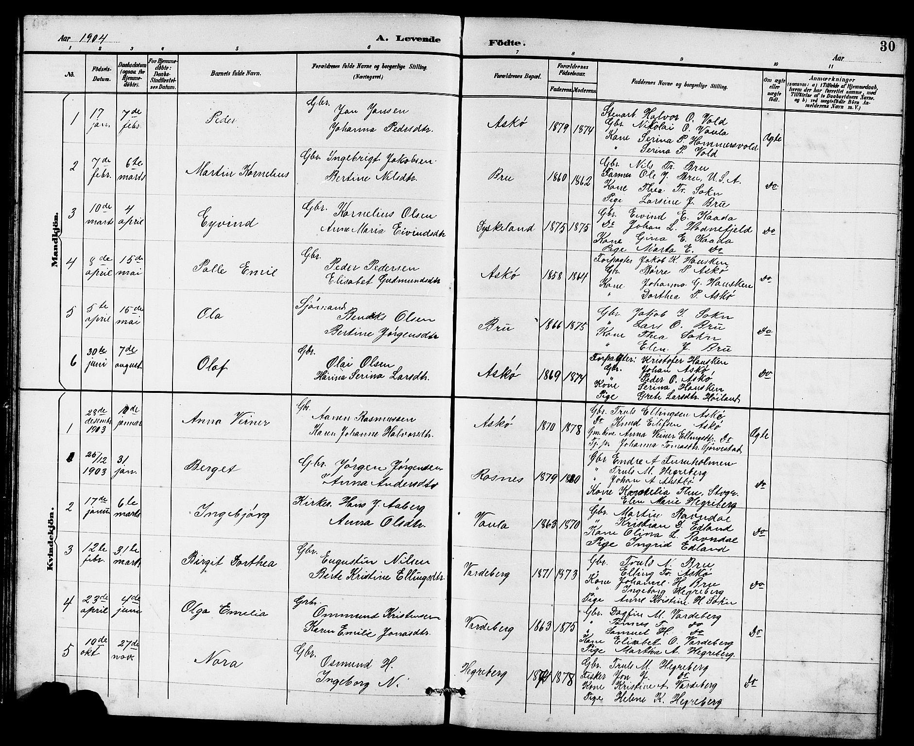 Rennesøy sokneprestkontor, AV/SAST-A -101827/H/Ha/Hab/L0011: Klokkerbok nr. B 10, 1891-1908, s. 30