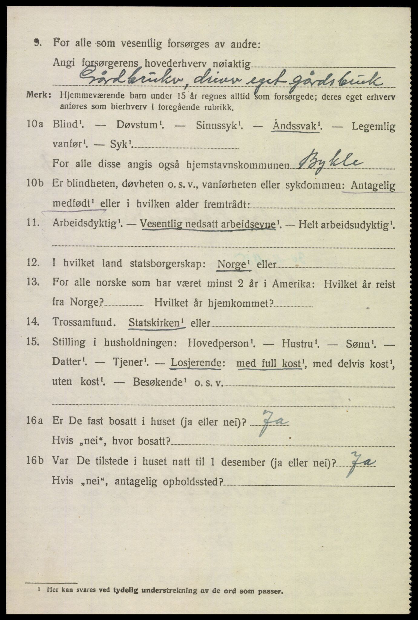 SAK, Folketelling 1920 for 0941 Bykle herred, 1920, s. 1034