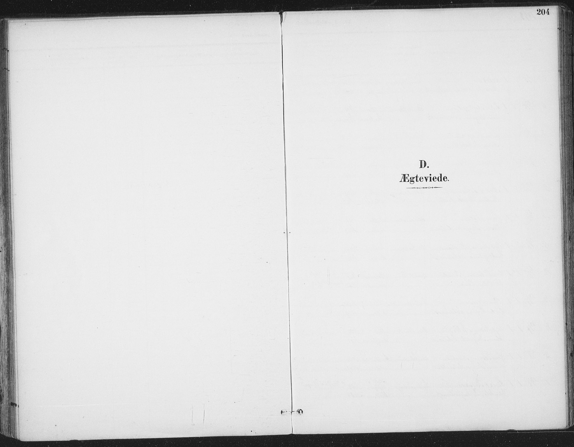 Ministerialprotokoller, klokkerbøker og fødselsregistre - Sør-Trøndelag, AV/SAT-A-1456/659/L0743: Ministerialbok nr. 659A13, 1893-1910, s. 204