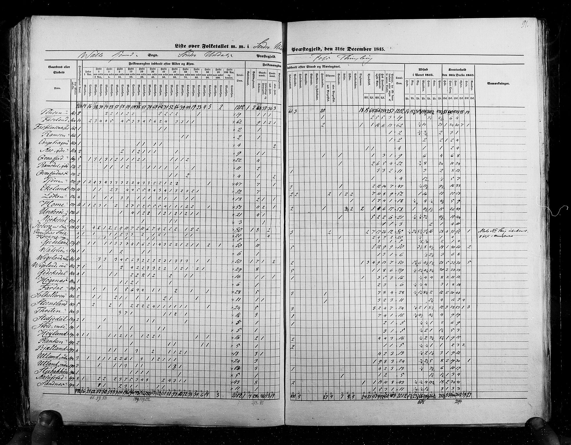 RA, Folketellingen 1845, bind 6: Lister og Mandal amt og Stavanger amt, 1845, s. 91