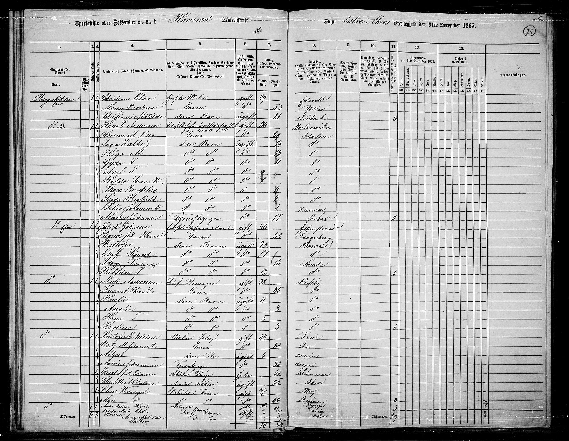 RA, Folketelling 1865 for 0218bP Østre Aker prestegjeld, 1865, s. 249