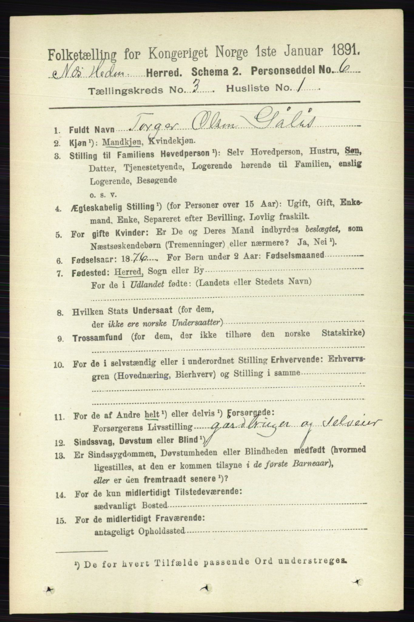 RA, Folketelling 1891 for 0411 Nes herred, 1891, s. 1593