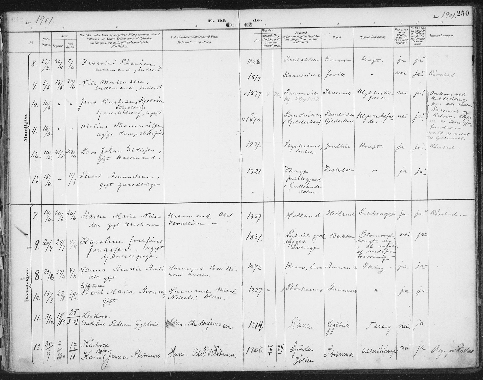 Ministerialprotokoller, klokkerbøker og fødselsregistre - Nordland, AV/SAT-A-1459/854/L0779: Ministerialbok nr. 854A02, 1892-1909, s. 250