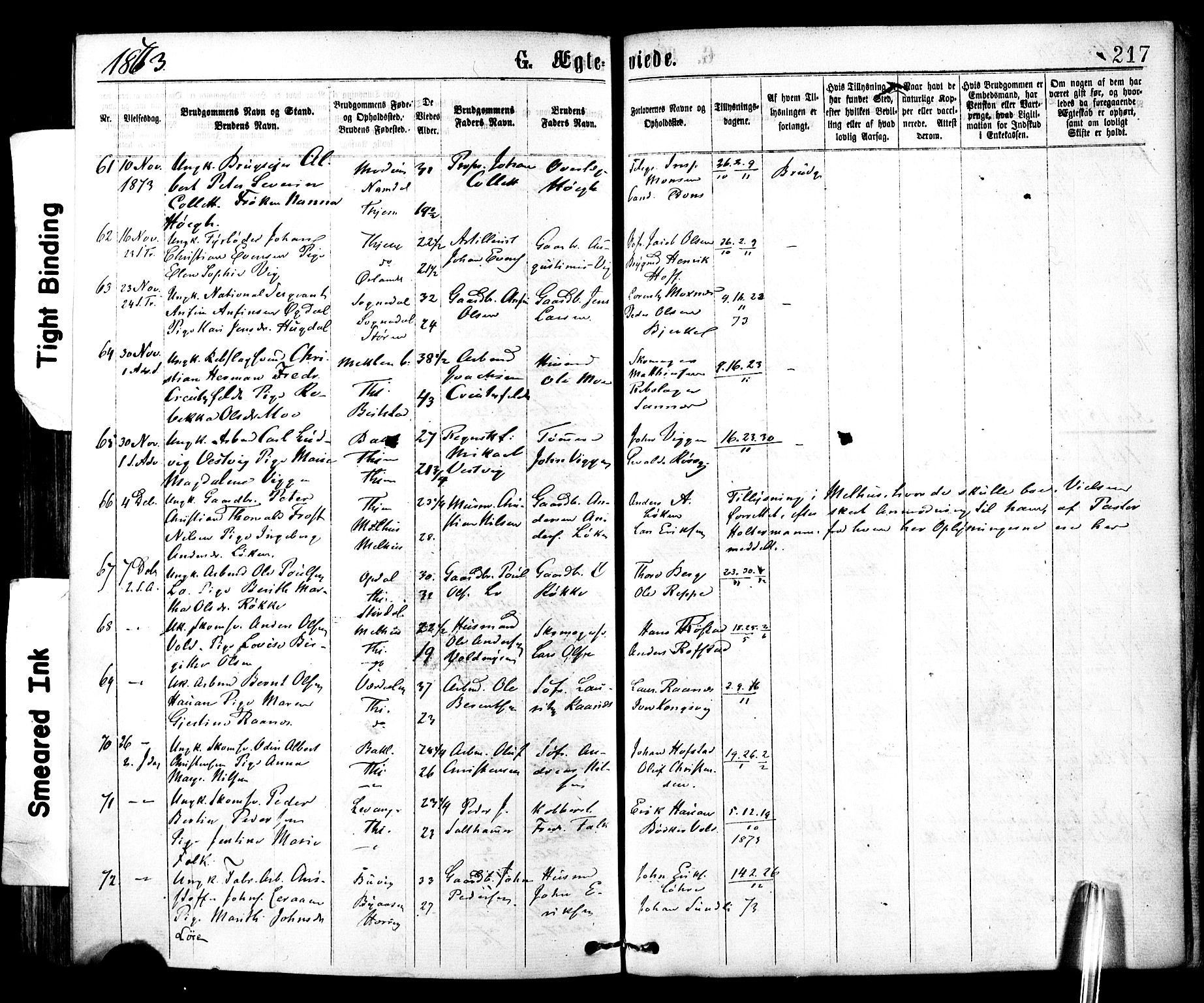 Ministerialprotokoller, klokkerbøker og fødselsregistre - Sør-Trøndelag, SAT/A-1456/602/L0118: Ministerialbok nr. 602A16, 1873-1879, s. 217
