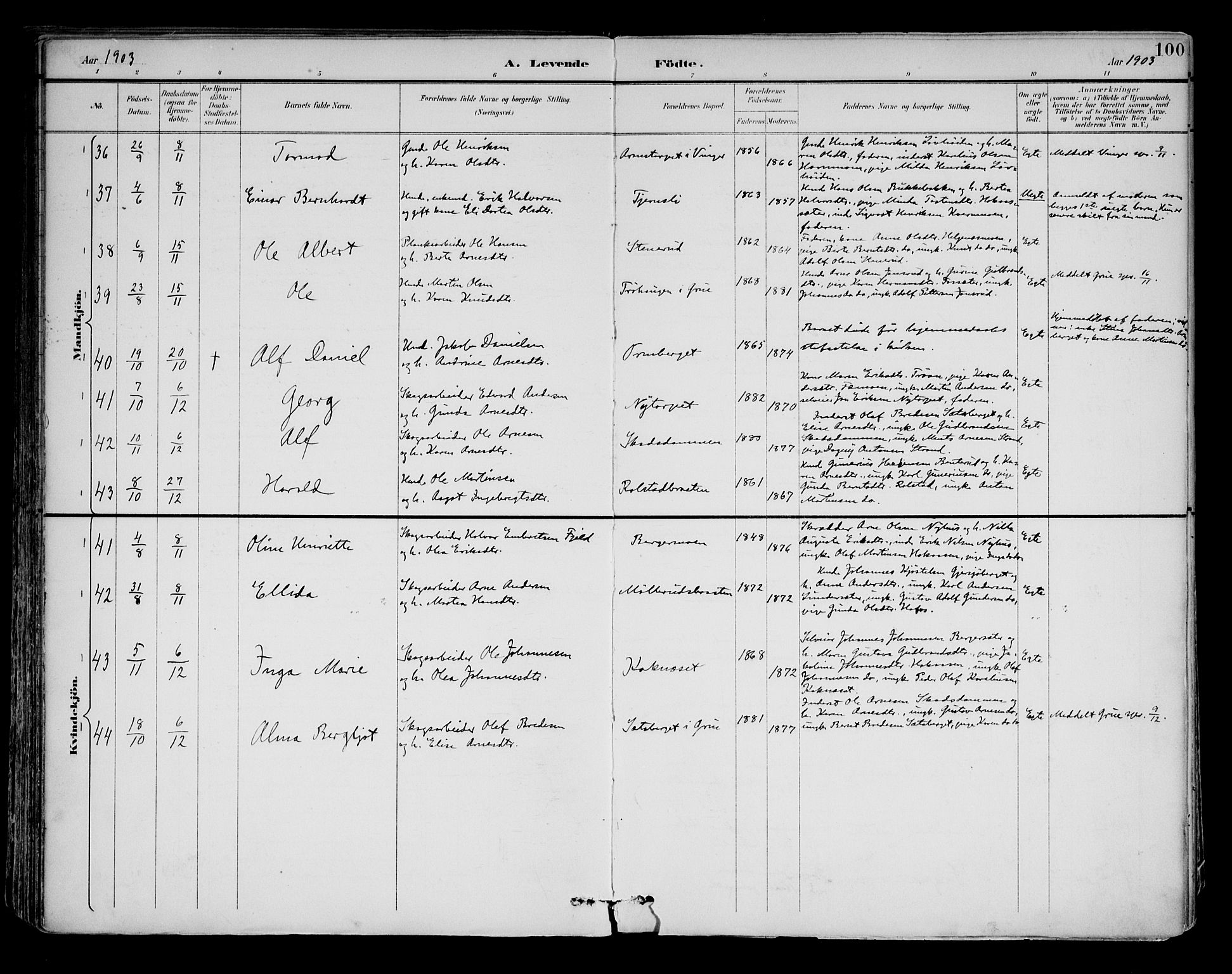 Brandval prestekontor, AV/SAH-PREST-034/H/Ha/Haa/L0003: Ministerialbok nr. 3, 1894-1909, s. 100